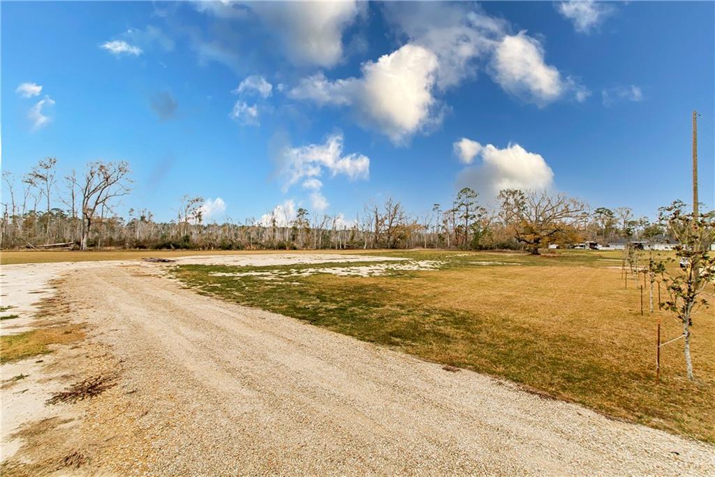 29340 George White Road Holden, LA 70744 - Photo 3 of 16