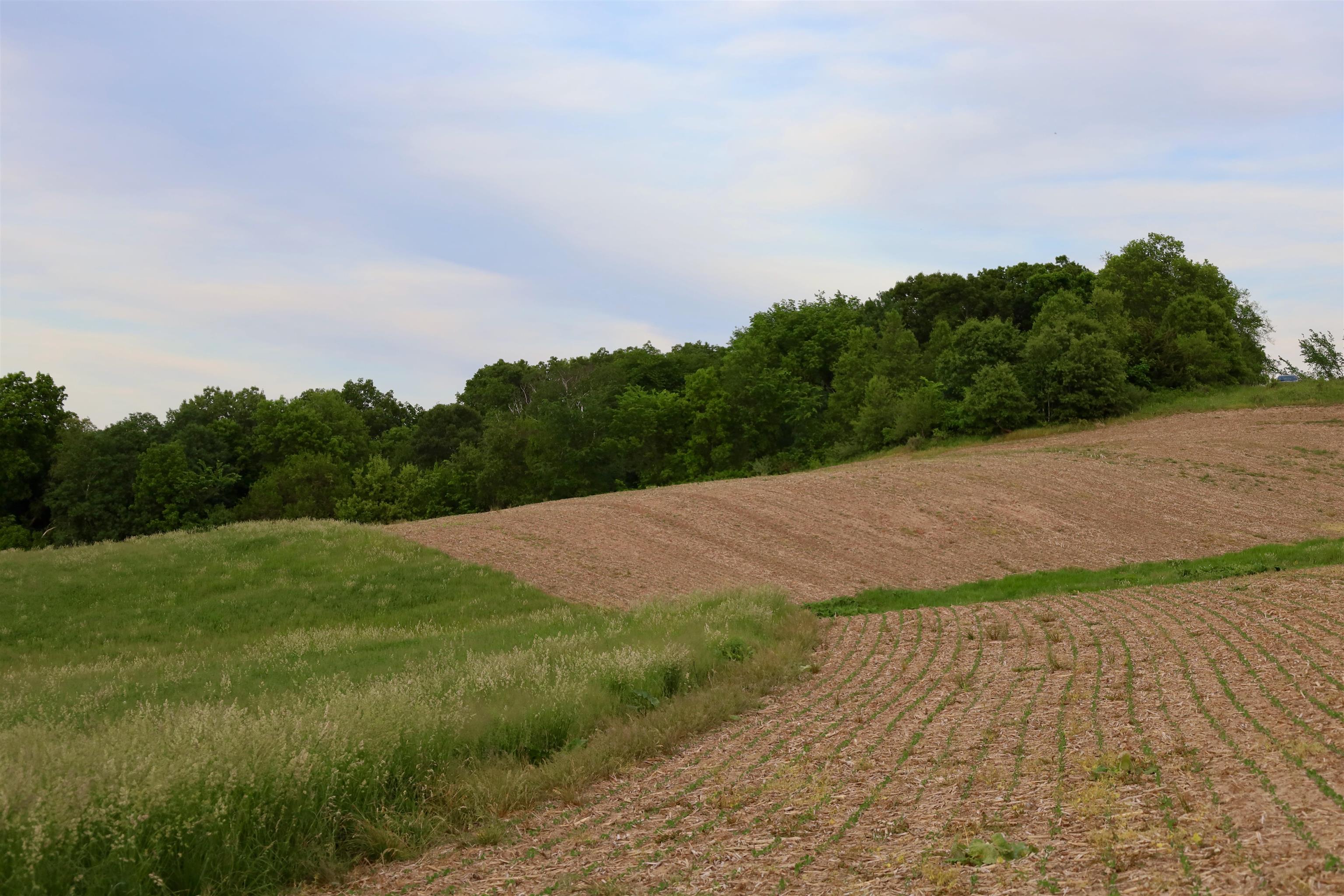 0 County M Boscobel, WI 53805 - Photo 20 of 32