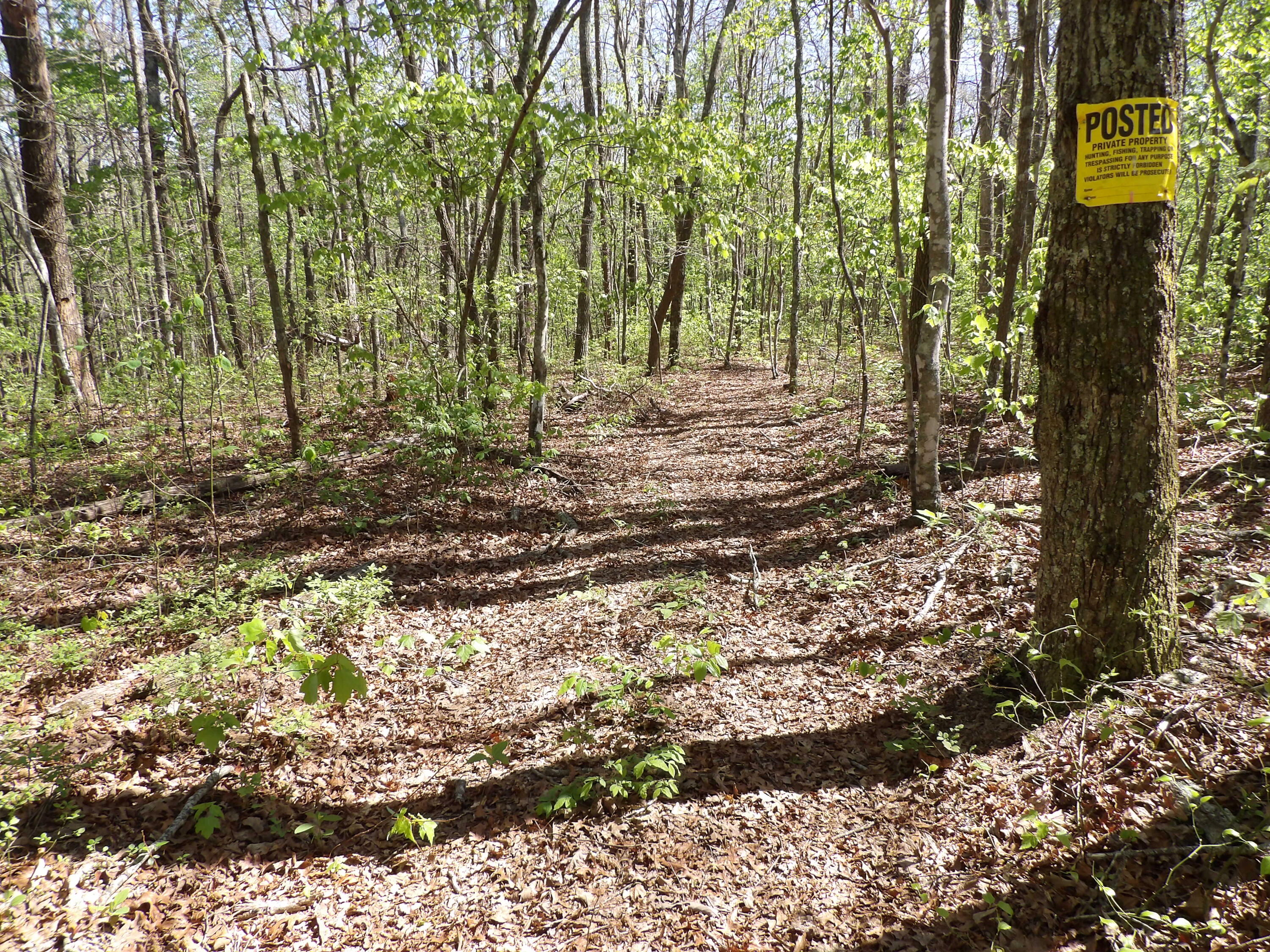 2 Cyrus Daniels Road, Unit 2 Pikeville, TN 37367 - Photo 14 of 54 100_2491