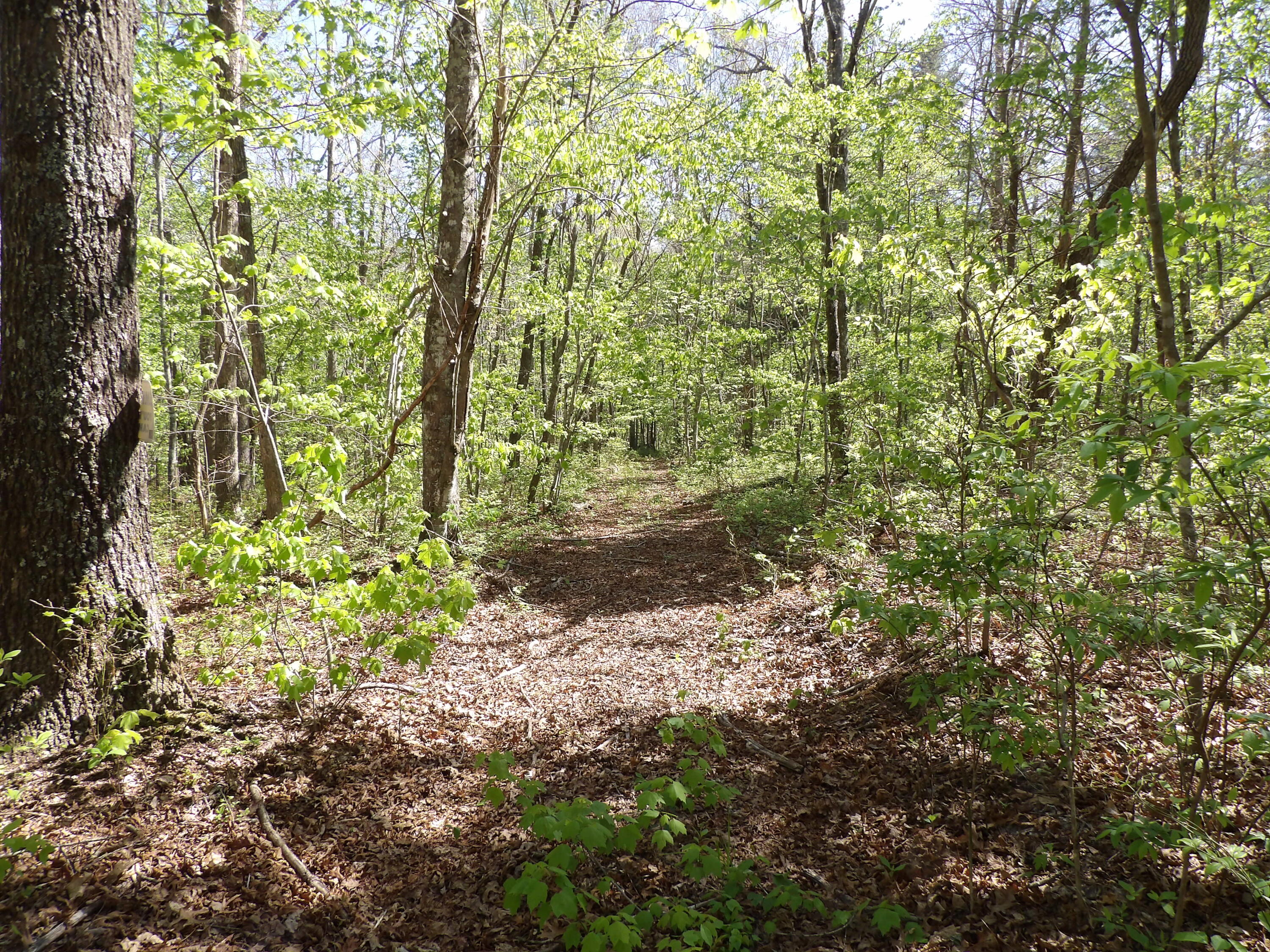 2 Cyrus Daniels Road, Unit 2 Pikeville, TN 37367 - Photo 15 of 54 100_2494