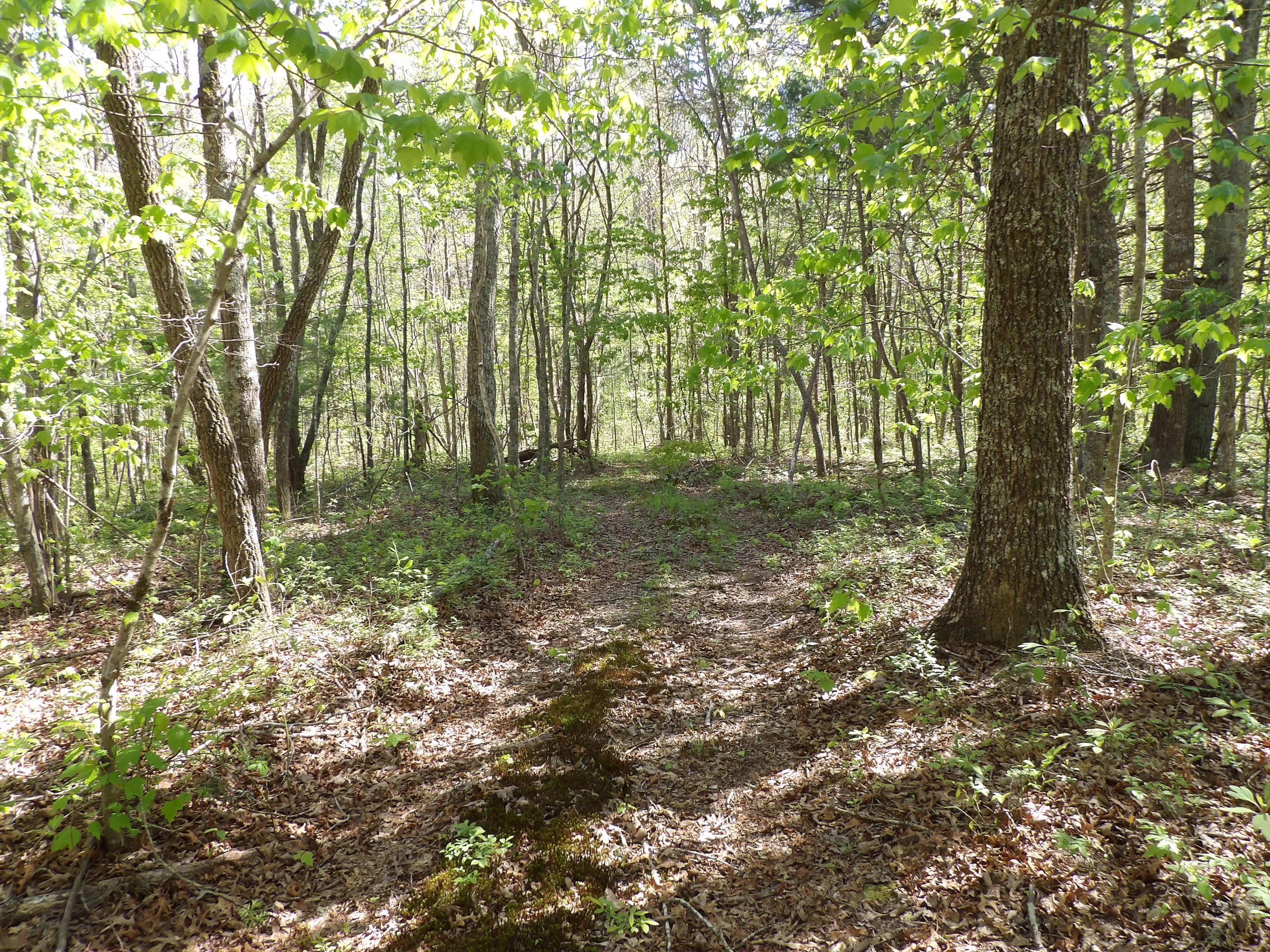 2 Cyrus Daniels Road, Unit 2 Pikeville, TN 37367 - Photo 26 of 54 100_2497