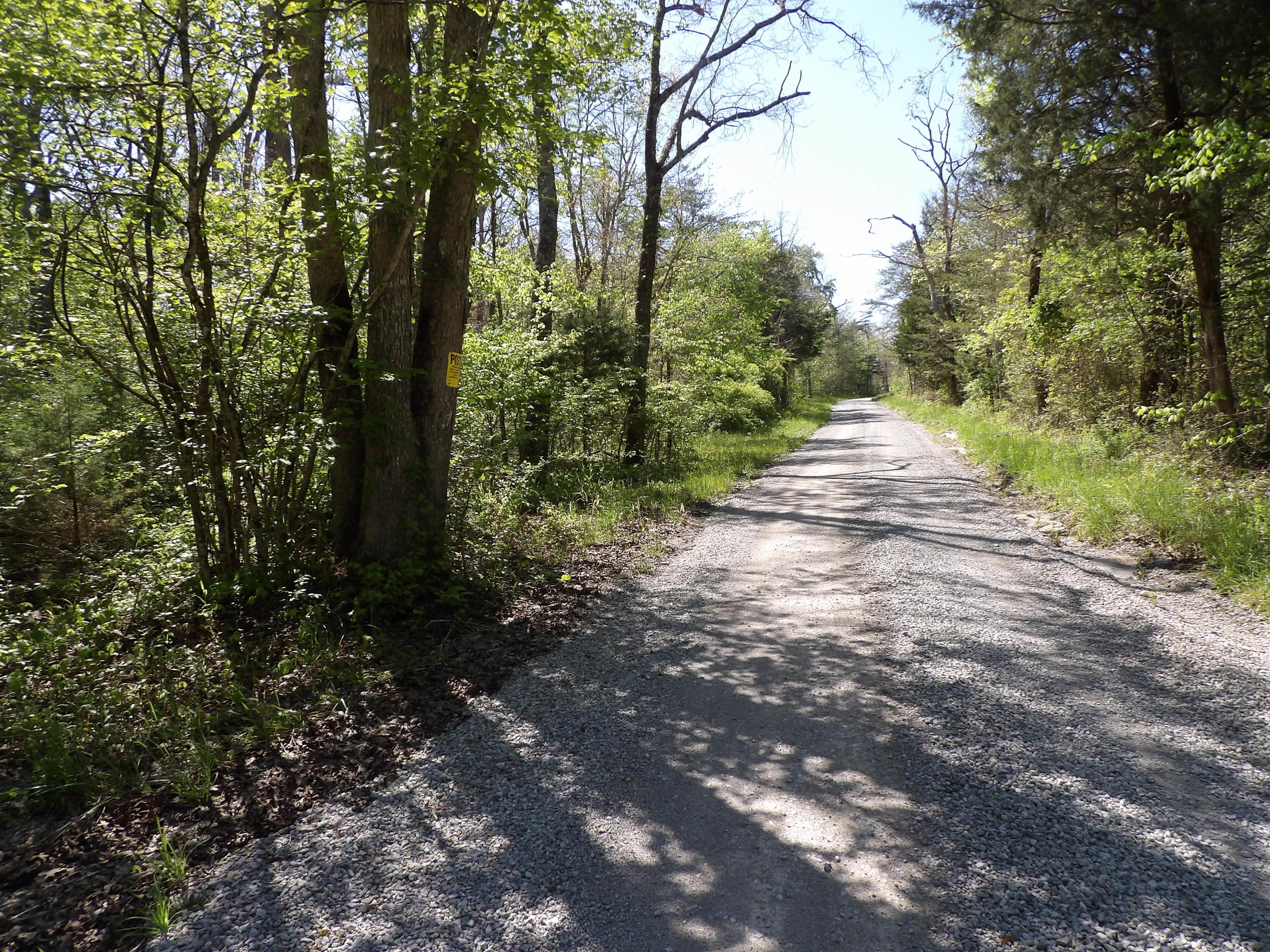 2 Cyrus Daniels Road, Unit 2 Pikeville, TN 37367 - Photo 53 of 54 100_2474
