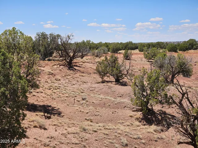 a view of a covered with trees in the background