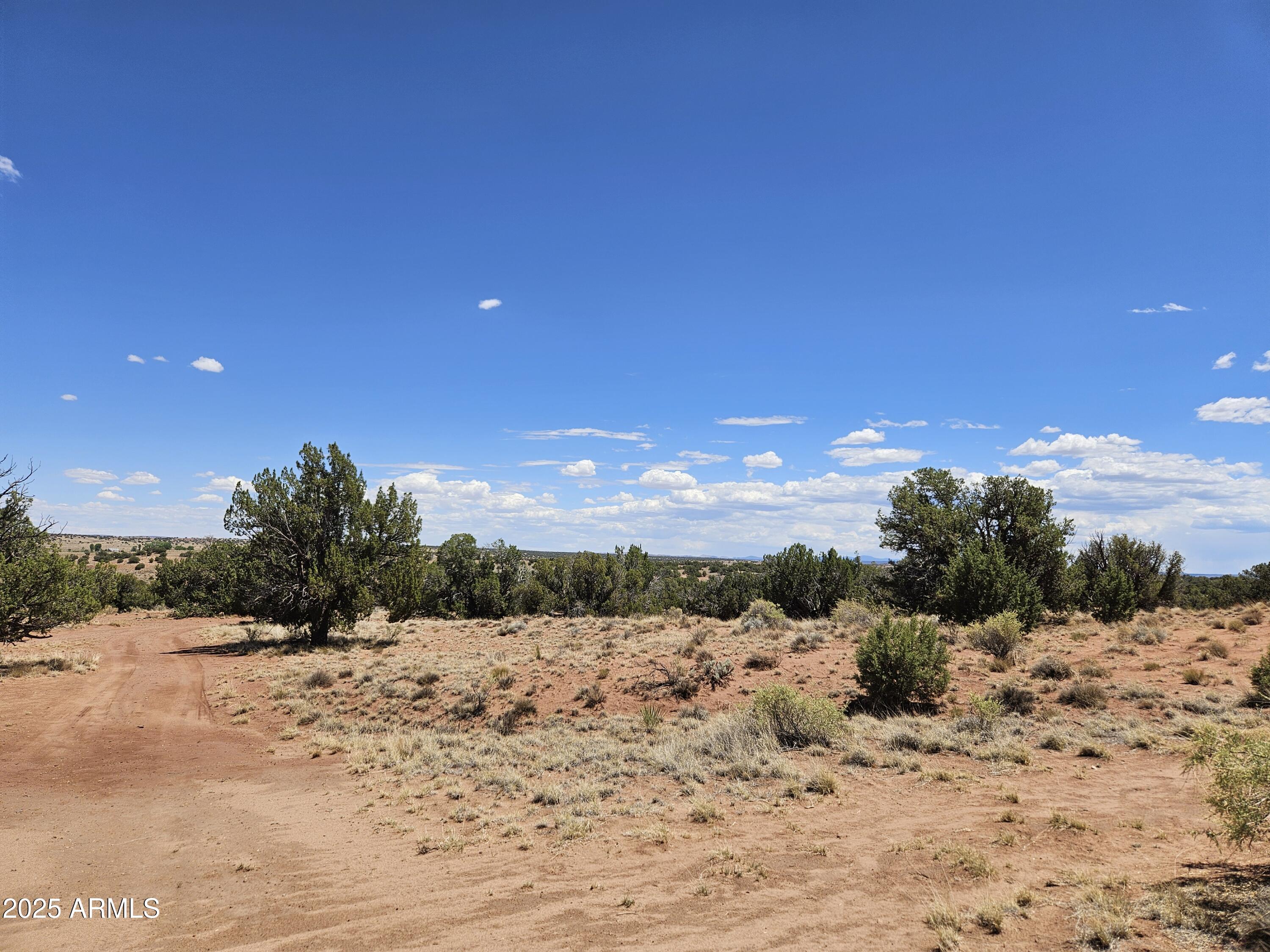 27 N9183, Unit 72 Concho, AZ 85924 - Photo 3 of 9 a view of a snow with a big yard