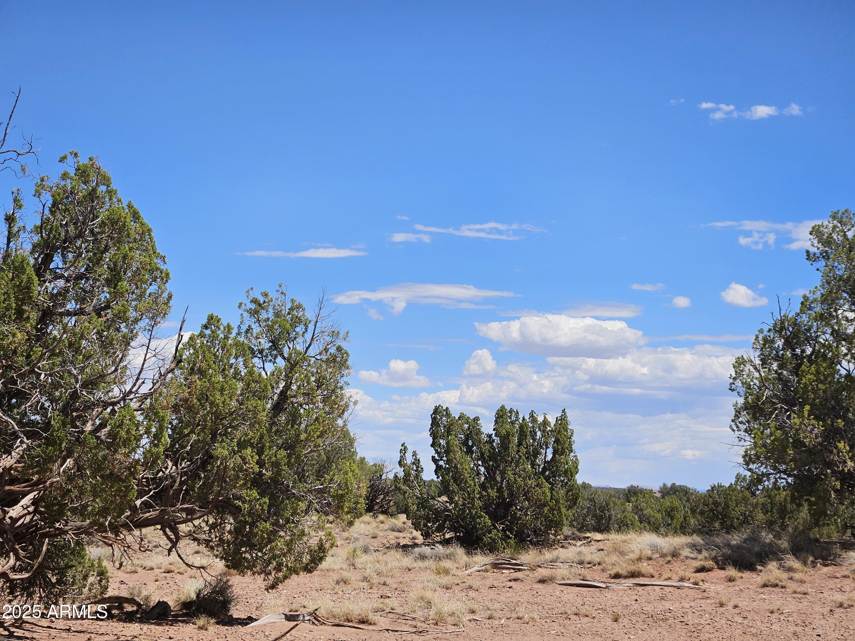27 N9183, Unit 72 Concho, AZ 85924 - Photo 4 of 9 a view of a sky