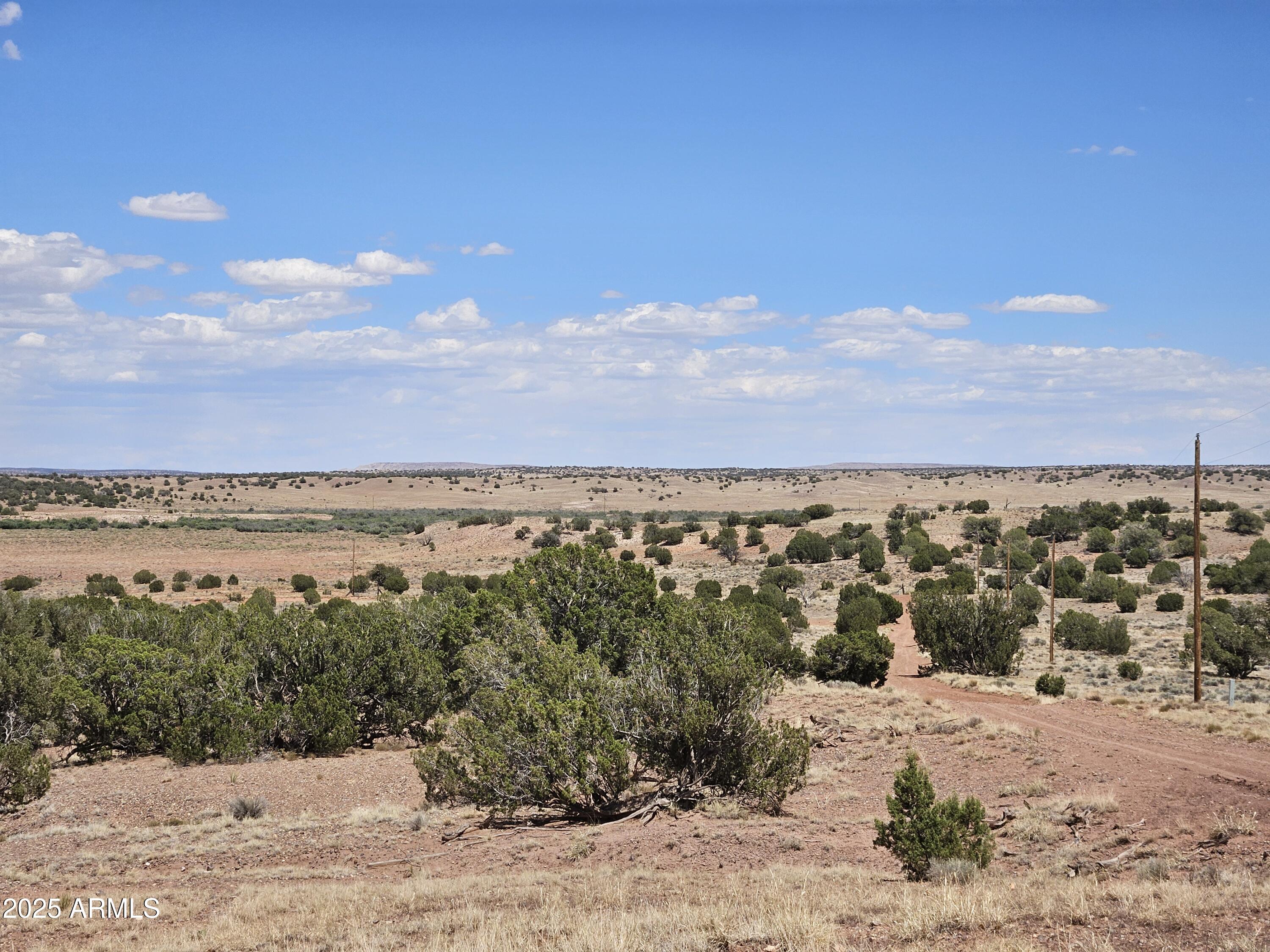 27 N9183, Unit 72 Concho, AZ 85924 - Photo 5 of 9 a view of a city