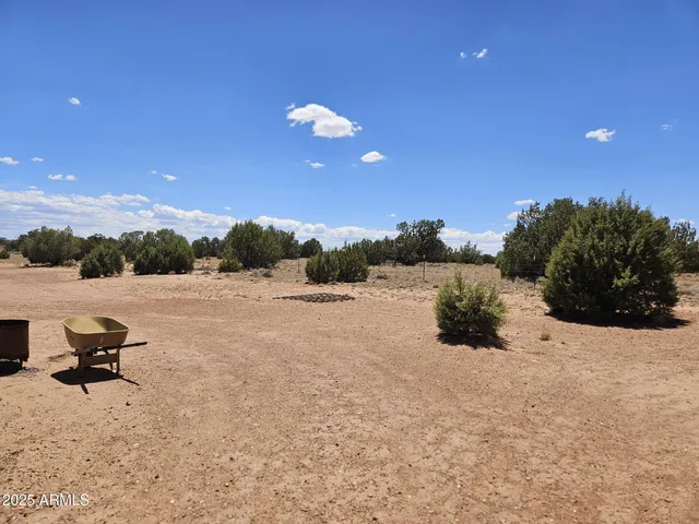 a view of a terrace with a bench and trees around