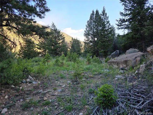 $139,000 | 1784 Main, Georgetown, CO 80444