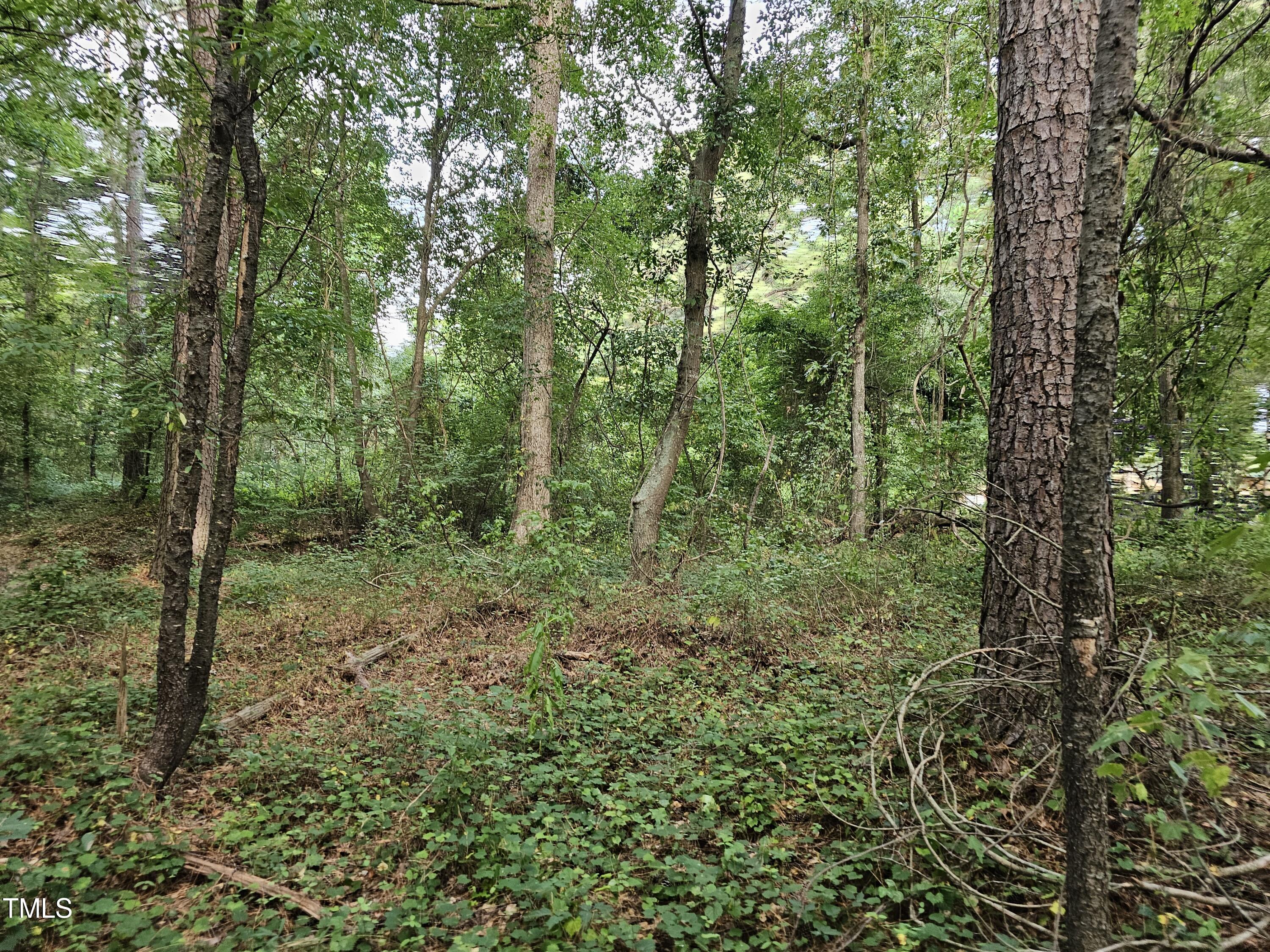 4017 Lizard Lick Road Wendell, NC 27591 - Photo 4 of 15 Lizard Lick Rd01