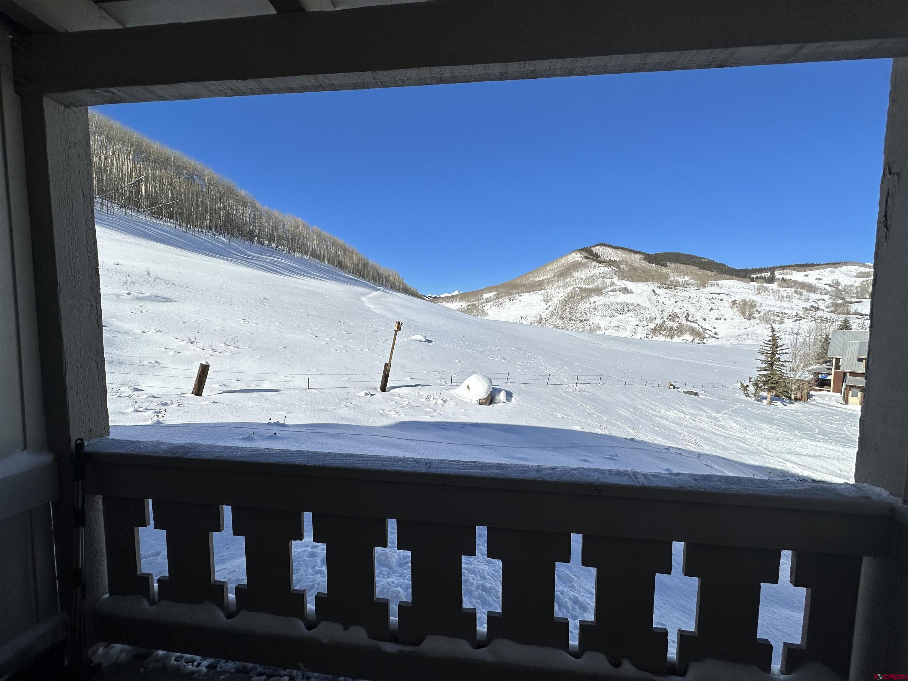 755 Gothic Road, Unit 2 Crested Butte, CO 81225 - Photo 16 of 36