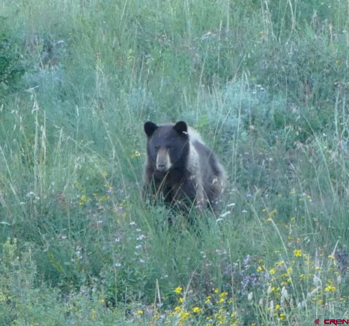 755 Gothic Road, Unit 2 Crested Butte, CO 81225 - Photo 30 of 36