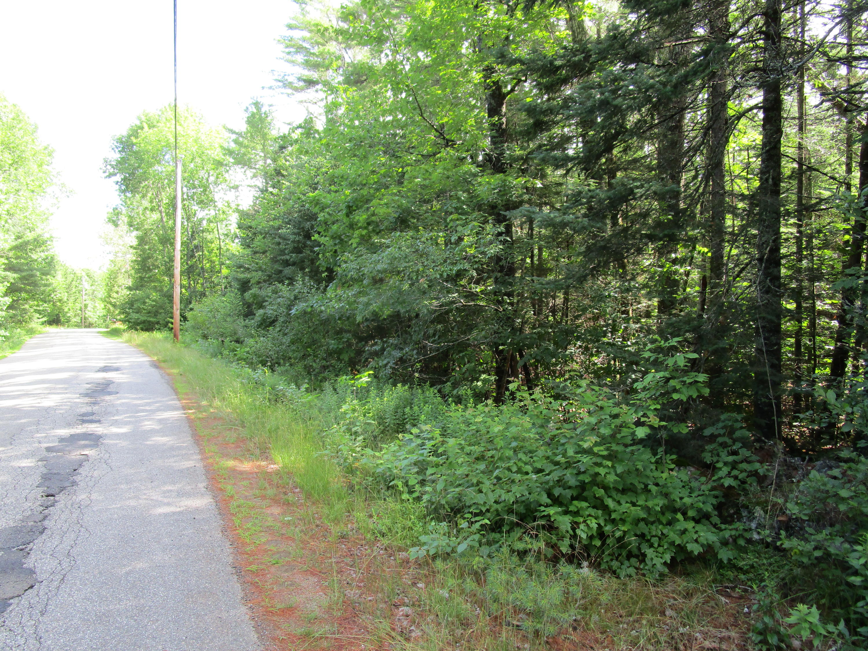 0 Reef Road Waldoboro, ME 04572 - Photo 5 of 13 IMG_0353