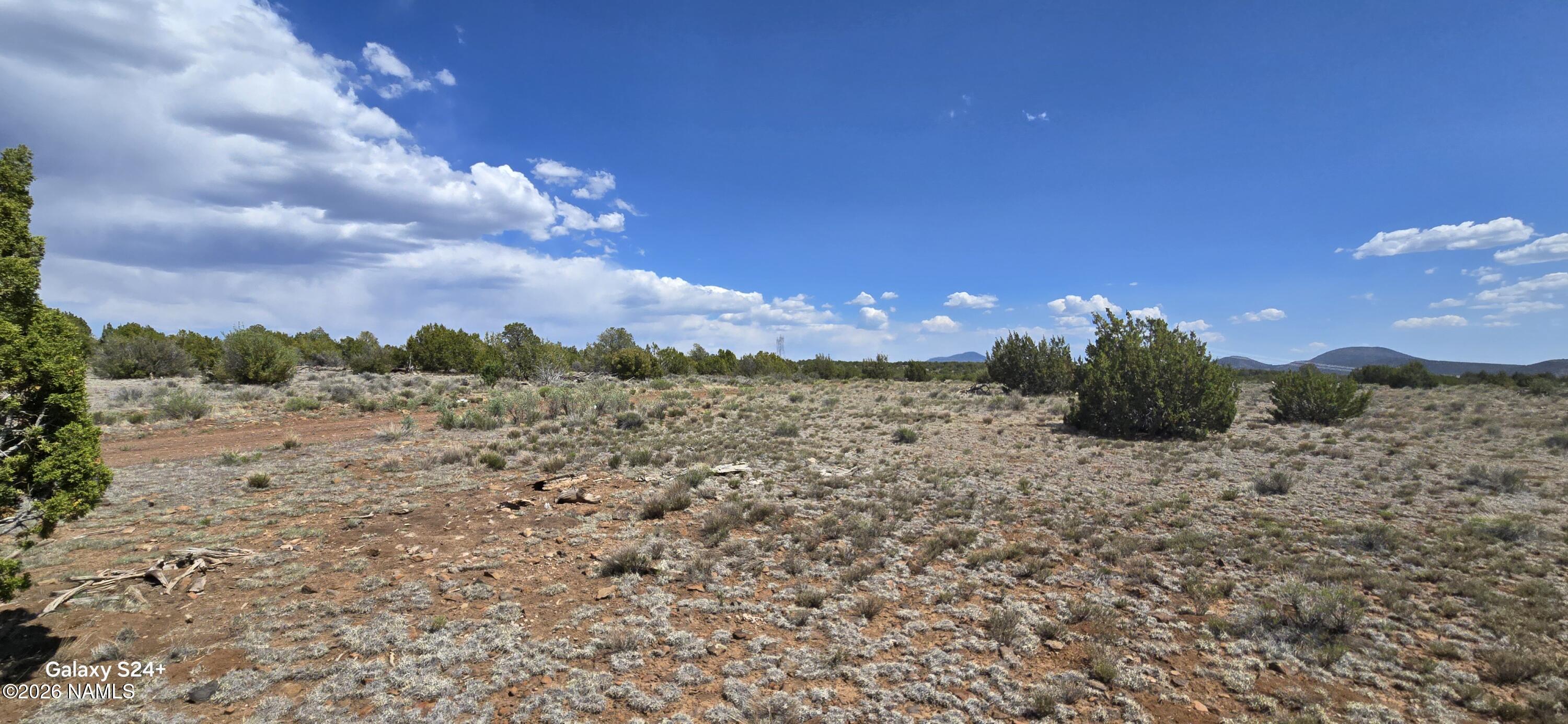 227 Mountain Cat Road Williams, AZ 86046 - Photo 2 of 13 a view of a yard