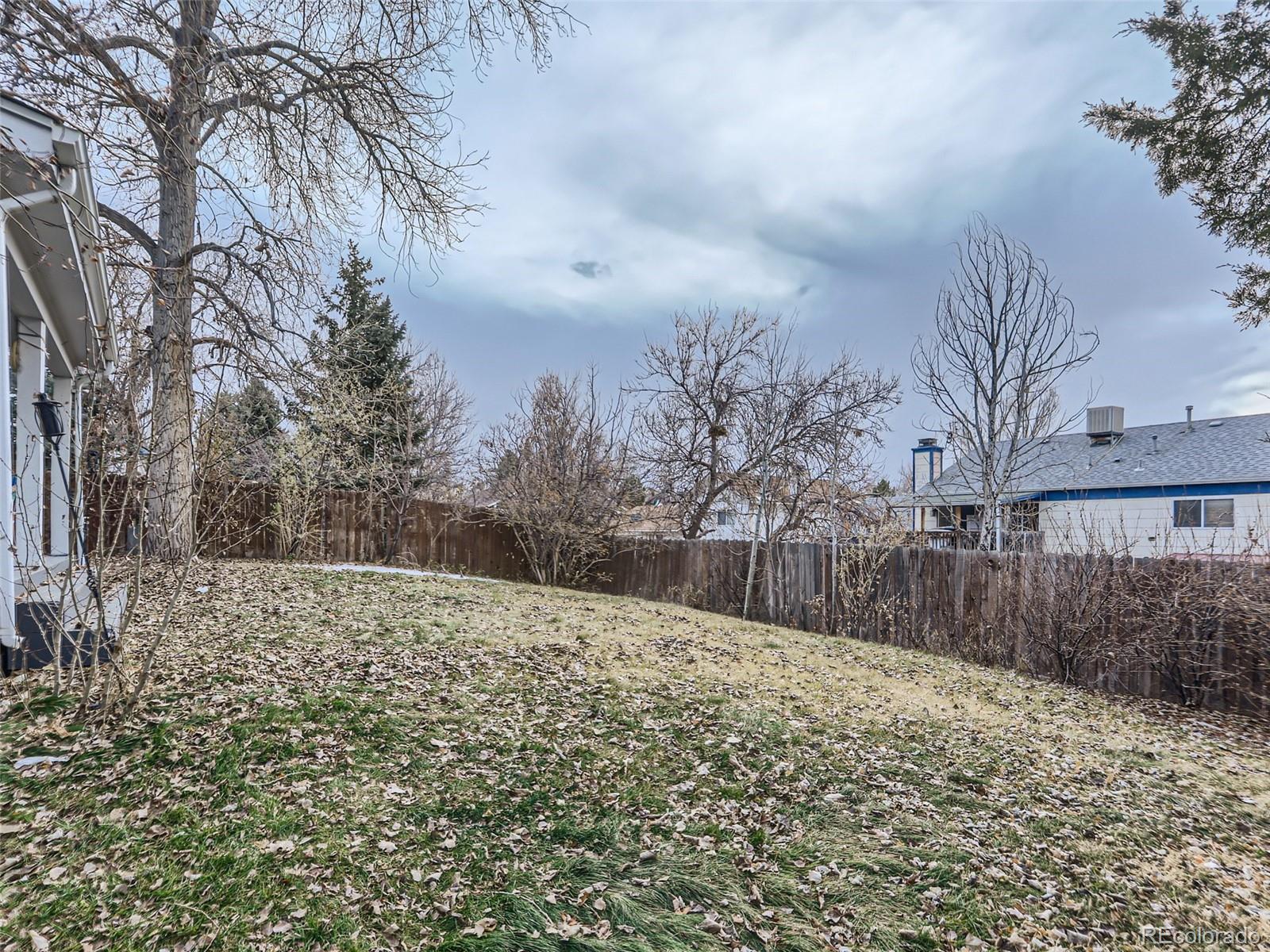 5941 South Perth Street Centennial, CO 80015 - Photo 26 of 28 a view of large yard with large trees