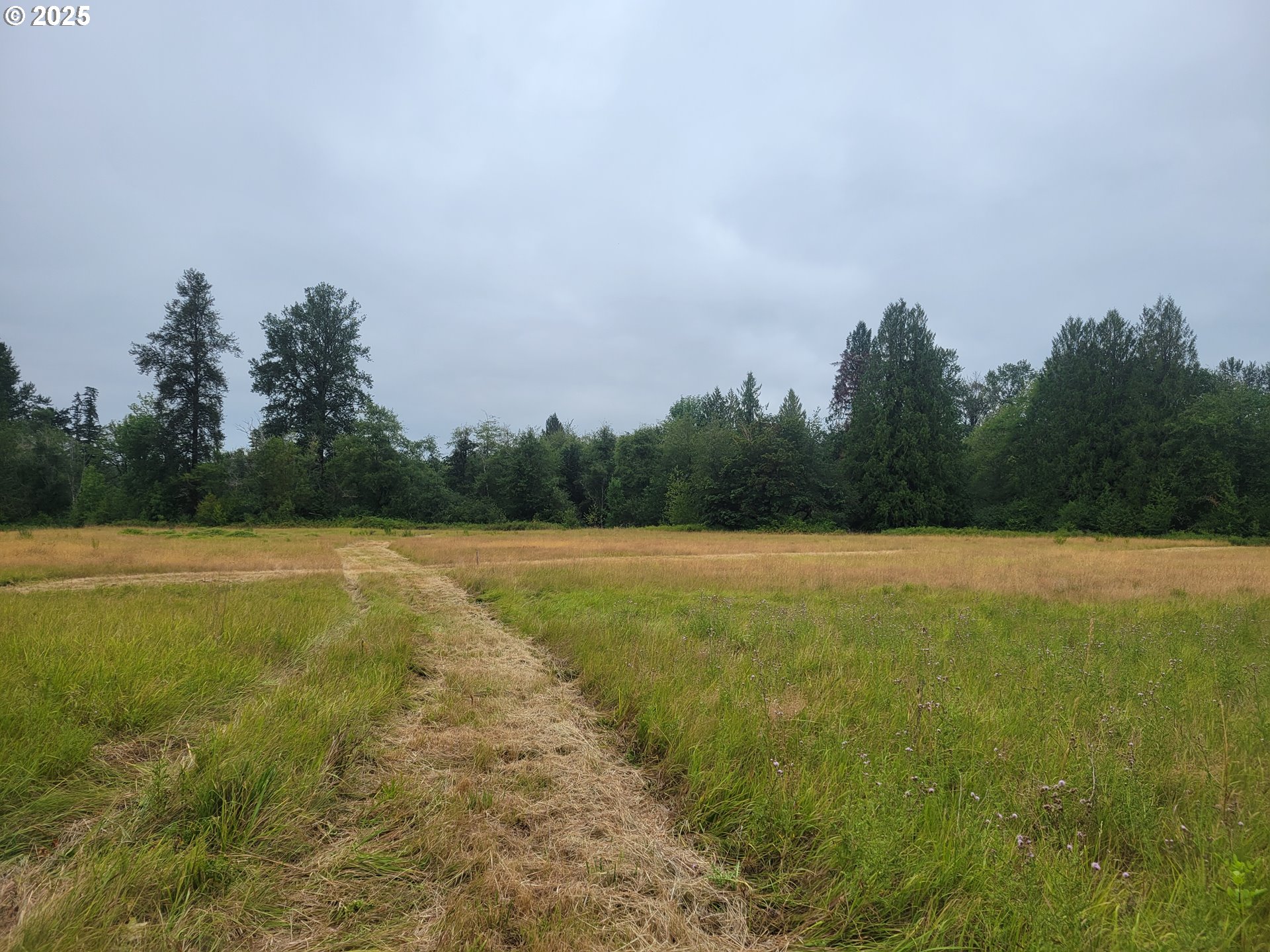 0 Evans Road Toledo, WA 98591 - Photo 2 of 6 a view of a outdoor space with trees all around