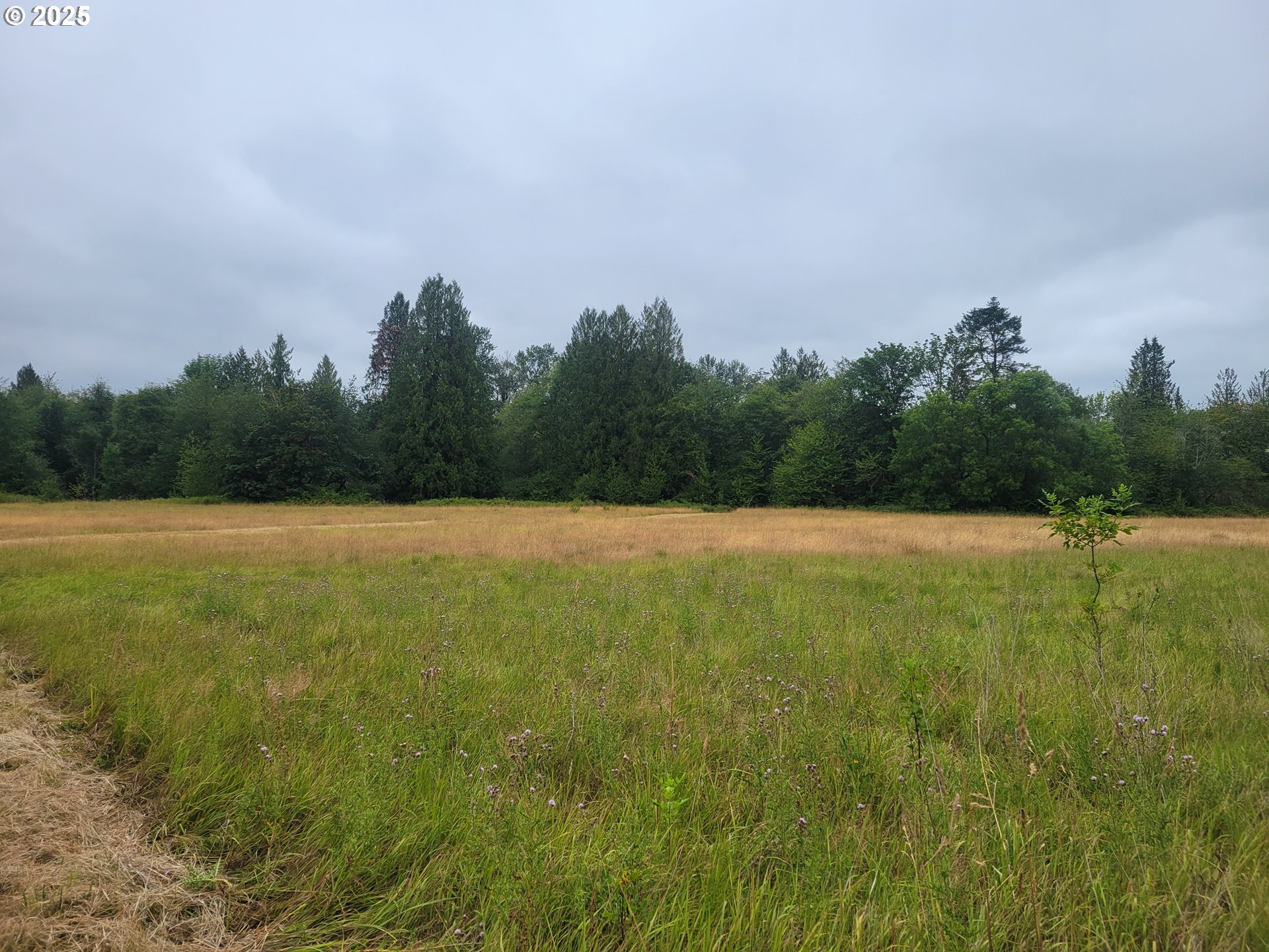 0 Evans Road Toledo, WA 98591 - Photo 3 of 6 a view of a field with an outdoor space