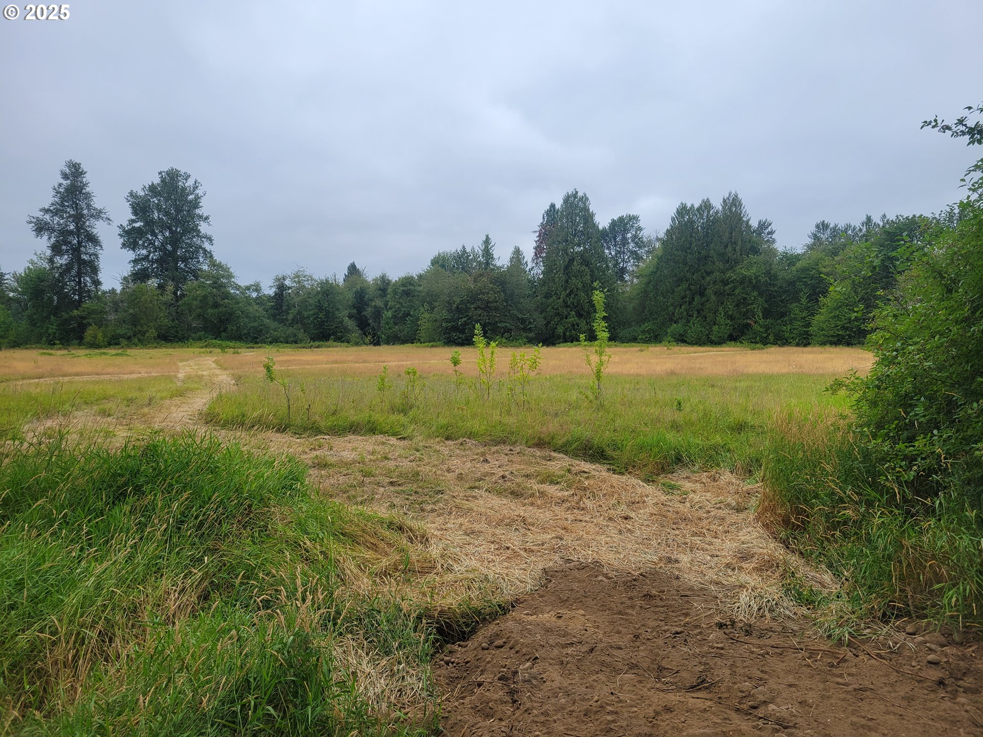 0 Evans Road Toledo, WA 98591 - Photo 6 of 6 a view of an outdoor space and a yard