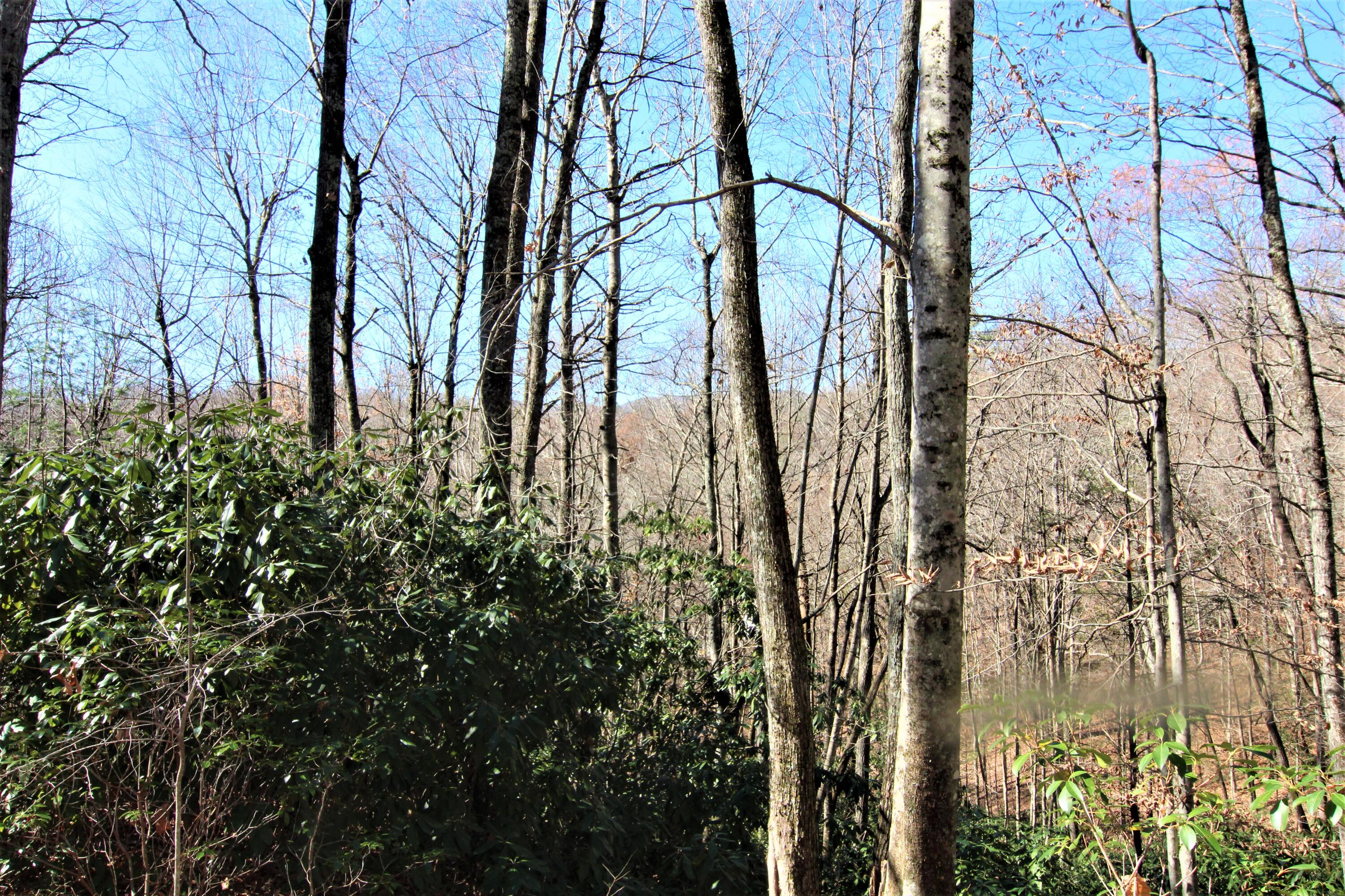0 Jess Hurley Road Elizabethton, TN 37643 - Photo 15 of 22 IMG_0534 (2)