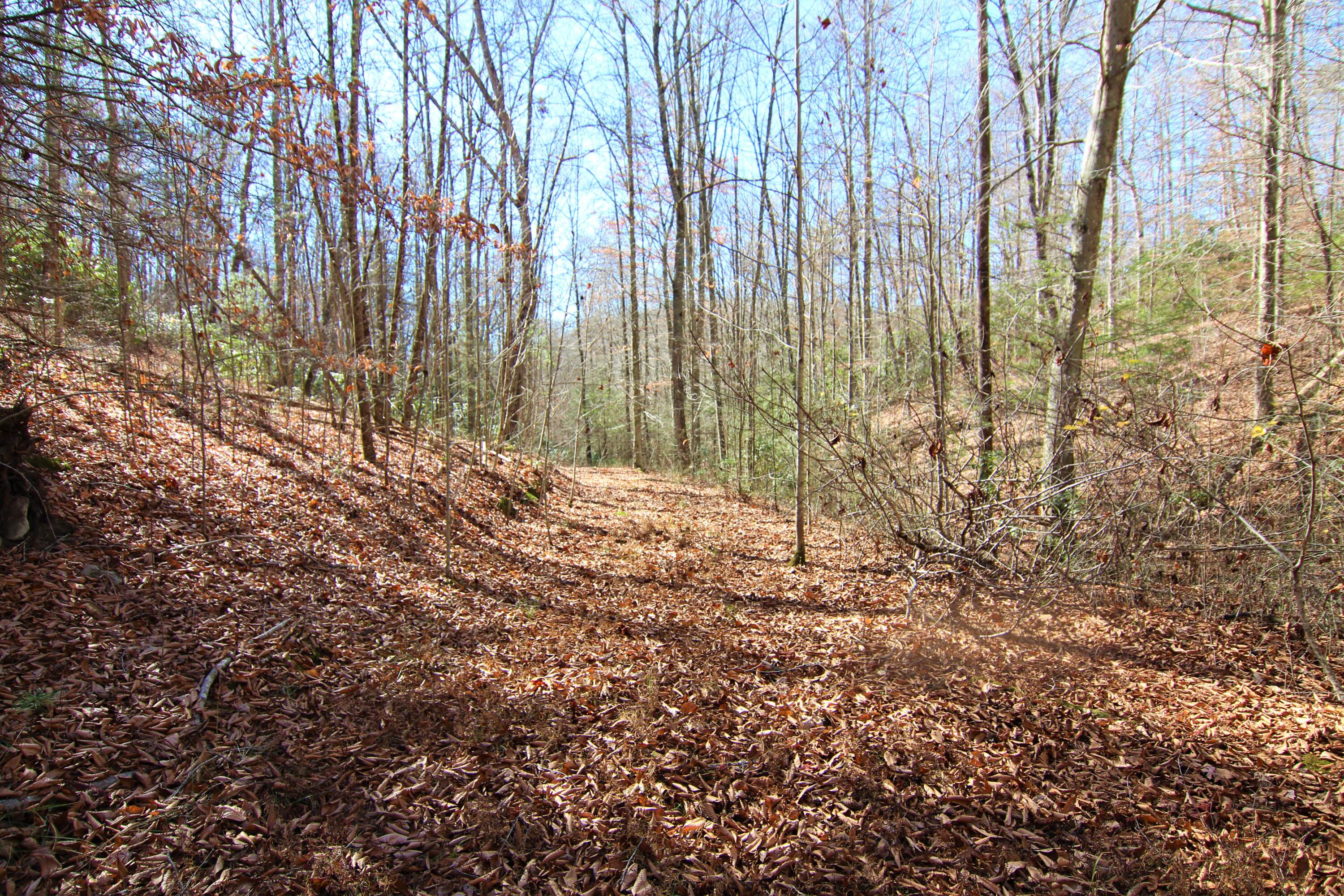 0 Jess Hurley Road Elizabethton, TN 37643 - Photo 20 of 22 IMG_0543 (2)