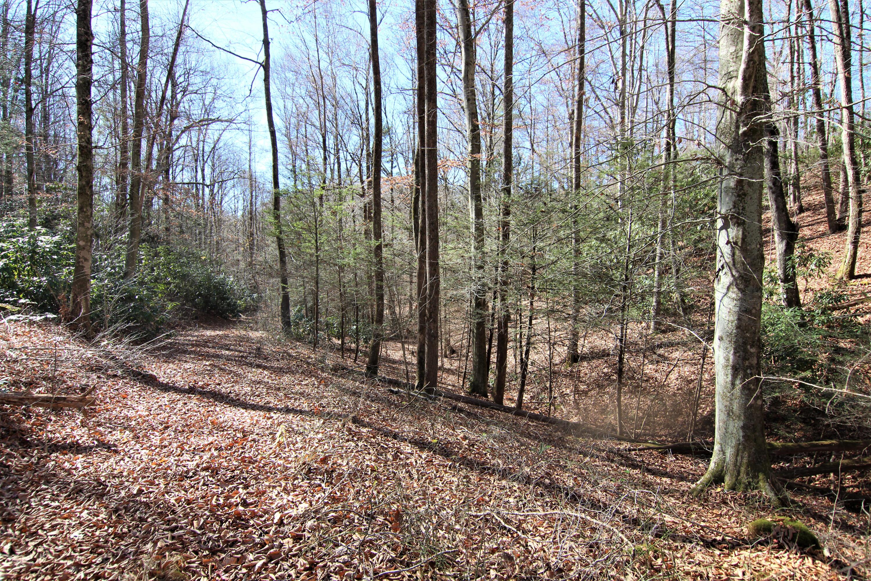 0 Jess Hurley Road Elizabethton, TN 37643 - Photo 21 of 22 IMG_0544 (2)
