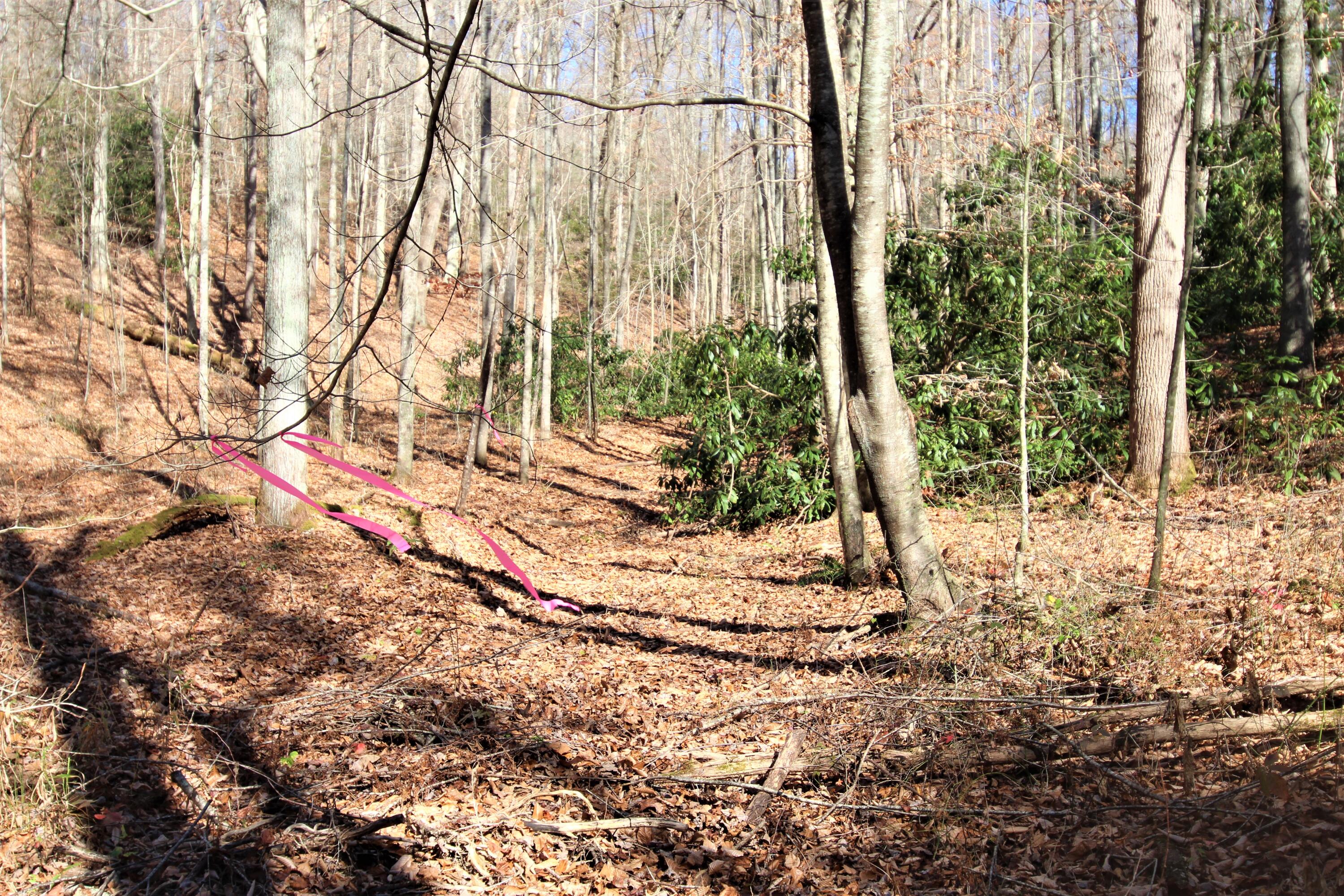 0 Jess Hurley Road Elizabethton, TN 37643 - Photo 22 of 22 IMG_0546 (2)