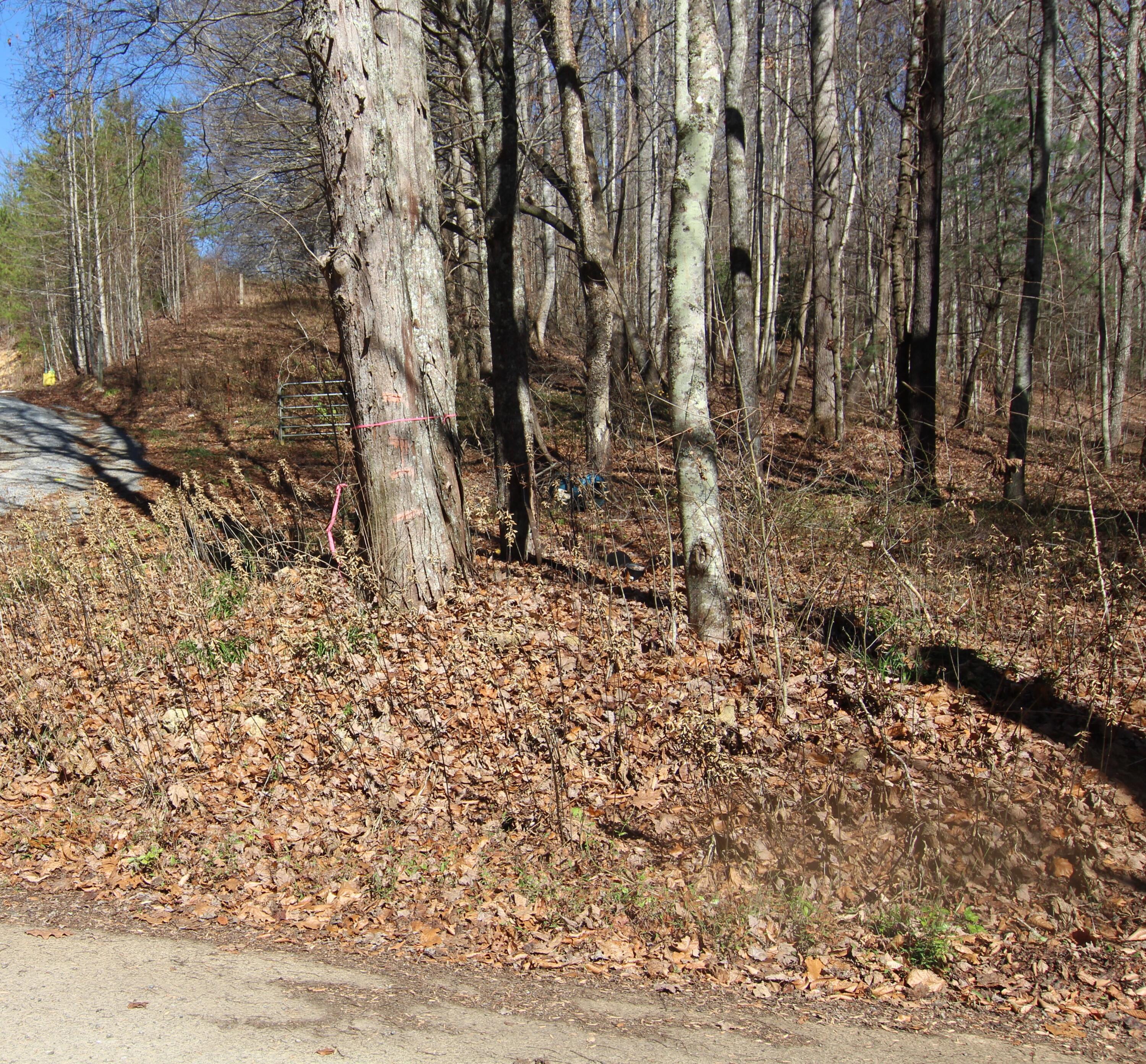 0 Jess Hurley Road Elizabethton, TN 37643 - Photo 10 of 22 IMG_0519 (2)