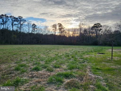 4909 Maiden Forest Road Rhodesdale, MD 21659 - Photo 8 of 31 Field/Woods