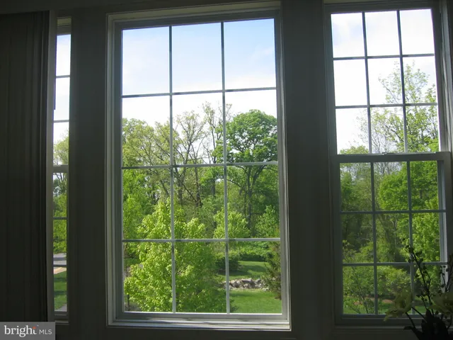 a view of green landscape from a window
