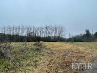12119 Wards Road Rustburg, VA 24588 - Photo 8 of 11 Gallery Image 8