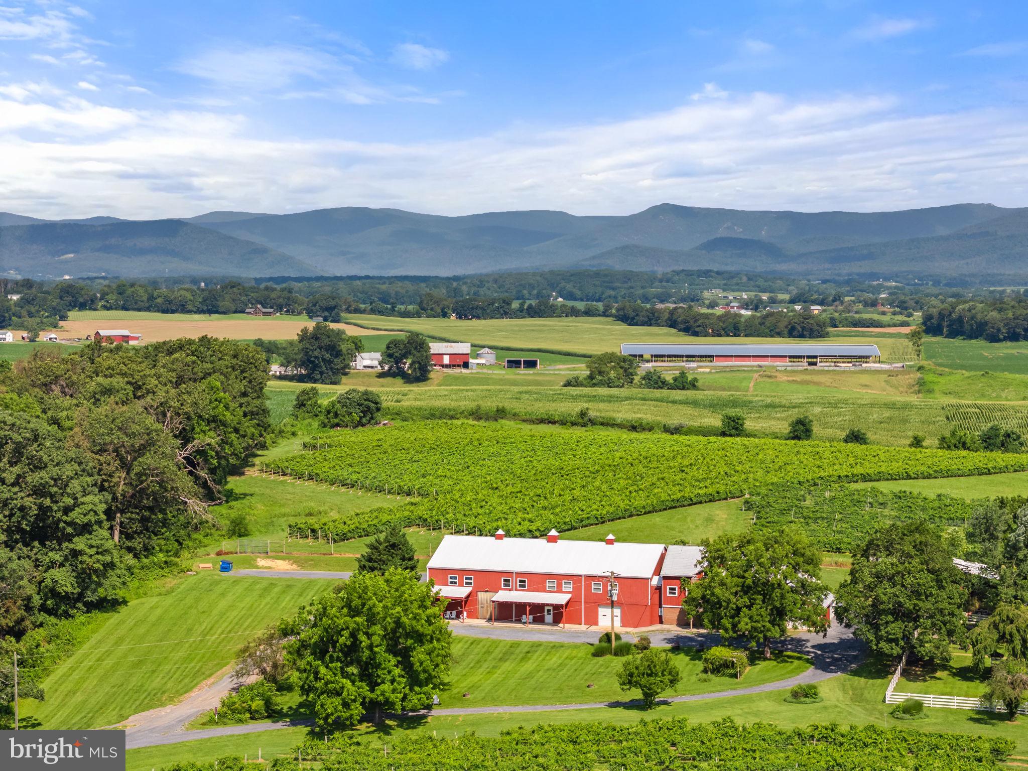 3659 South Ox Road Edinburg, VA 22824 - Photo 2 of 66 Bird’s-eye view of your future property