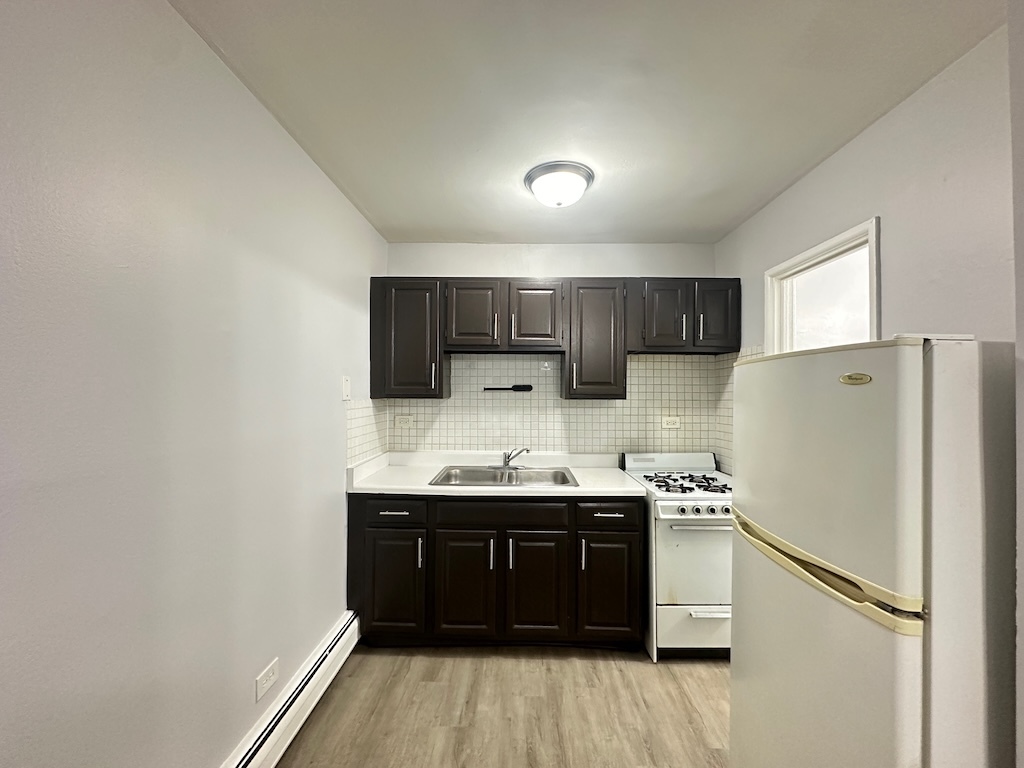 4537 North Dover Street, Unit 1D Chicago, IL 60640 - Photo 4 of 22