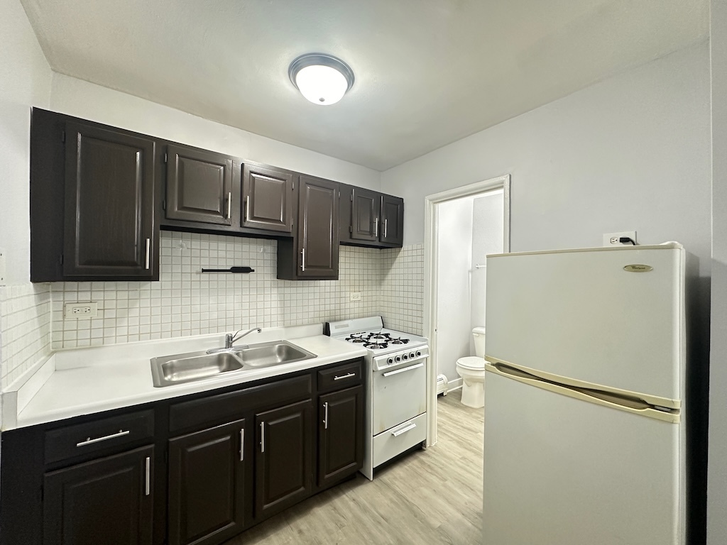 4537 North Dover Street, Unit 1D Chicago, IL 60640 - Photo 5 of 22