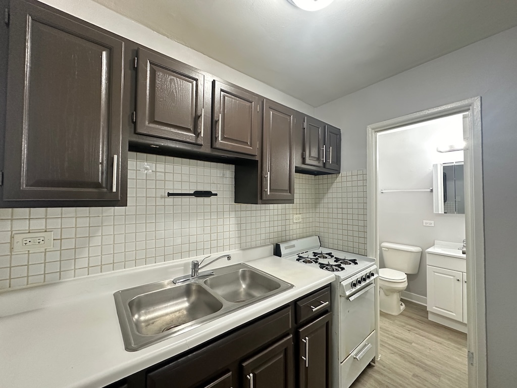 4537 North Dover Street, Unit 1D Chicago, IL 60640 - Photo 6 of 22