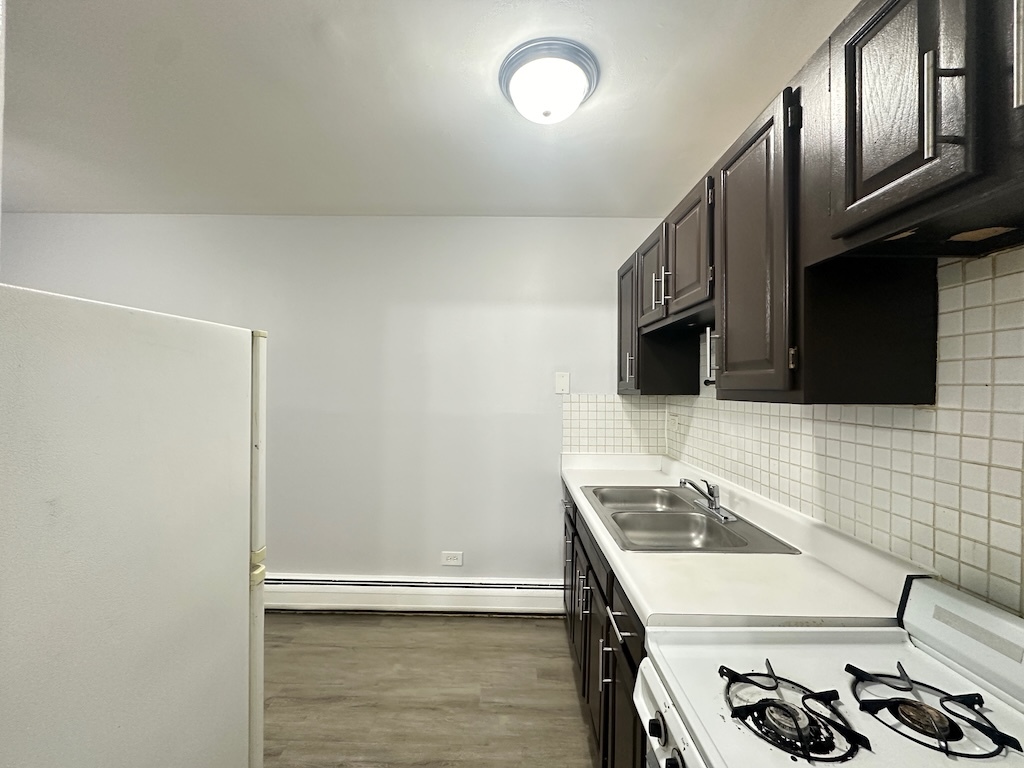 4537 North Dover Street, Unit 1D Chicago, IL 60640 - Photo 8 of 22