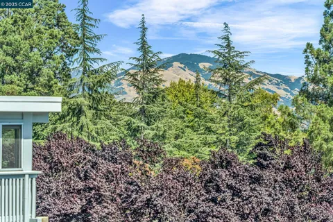 a view of a garden with plants