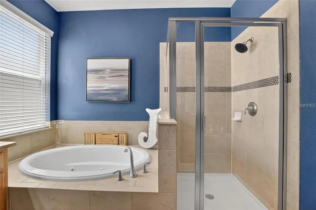 14302 Rolling Dune Road Lithia, FL 33547 - Photo 24 of 88 a bathroom with a white bath tub sitting next to a window