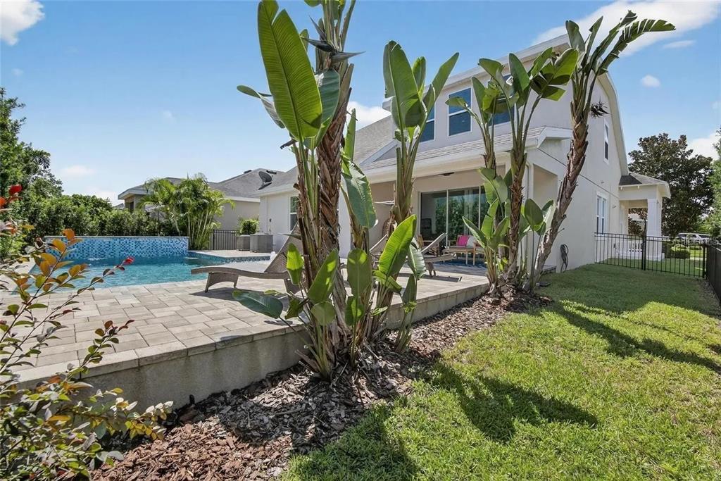 14302 Rolling Dune Road Lithia, FL 33547 - Photo 56 of 88 a view of a backyard with plants and palm trees
