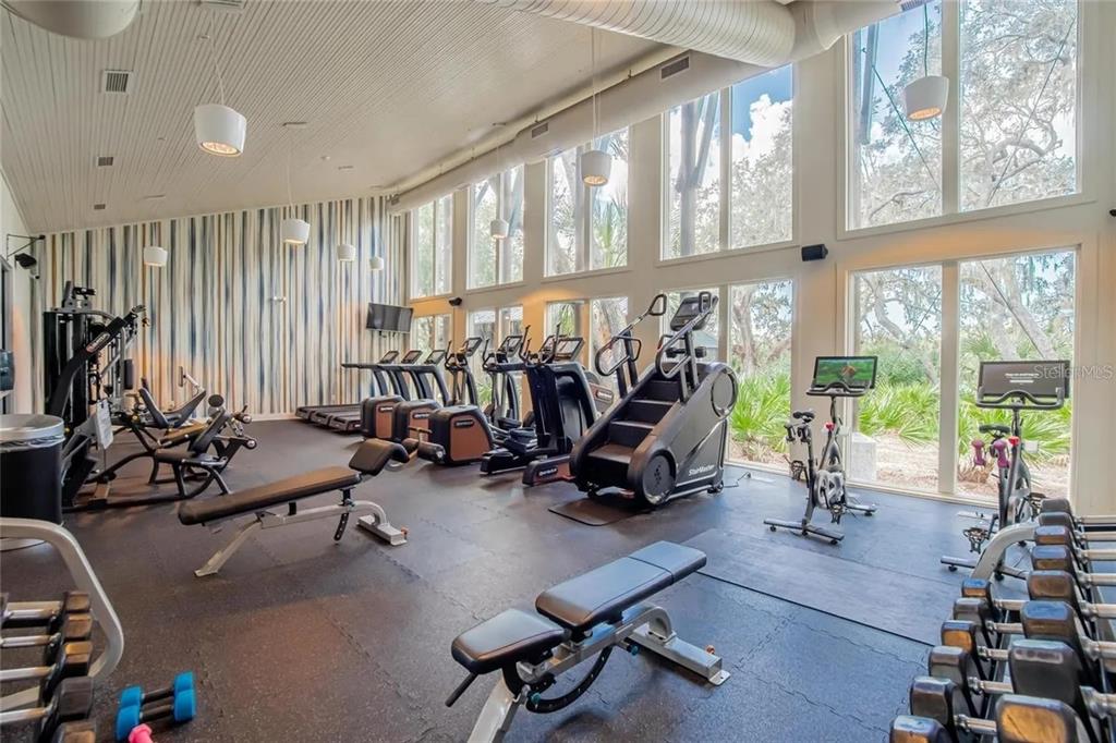 14302 Rolling Dune Road Lithia, FL 33547 - Photo 68 of 88 a view of a room with gym equipment