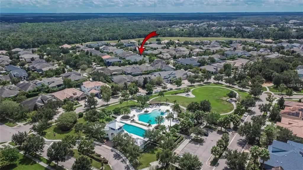 14302 Rolling Dune Road Lithia, FL 33547 - Photo 87 of 88