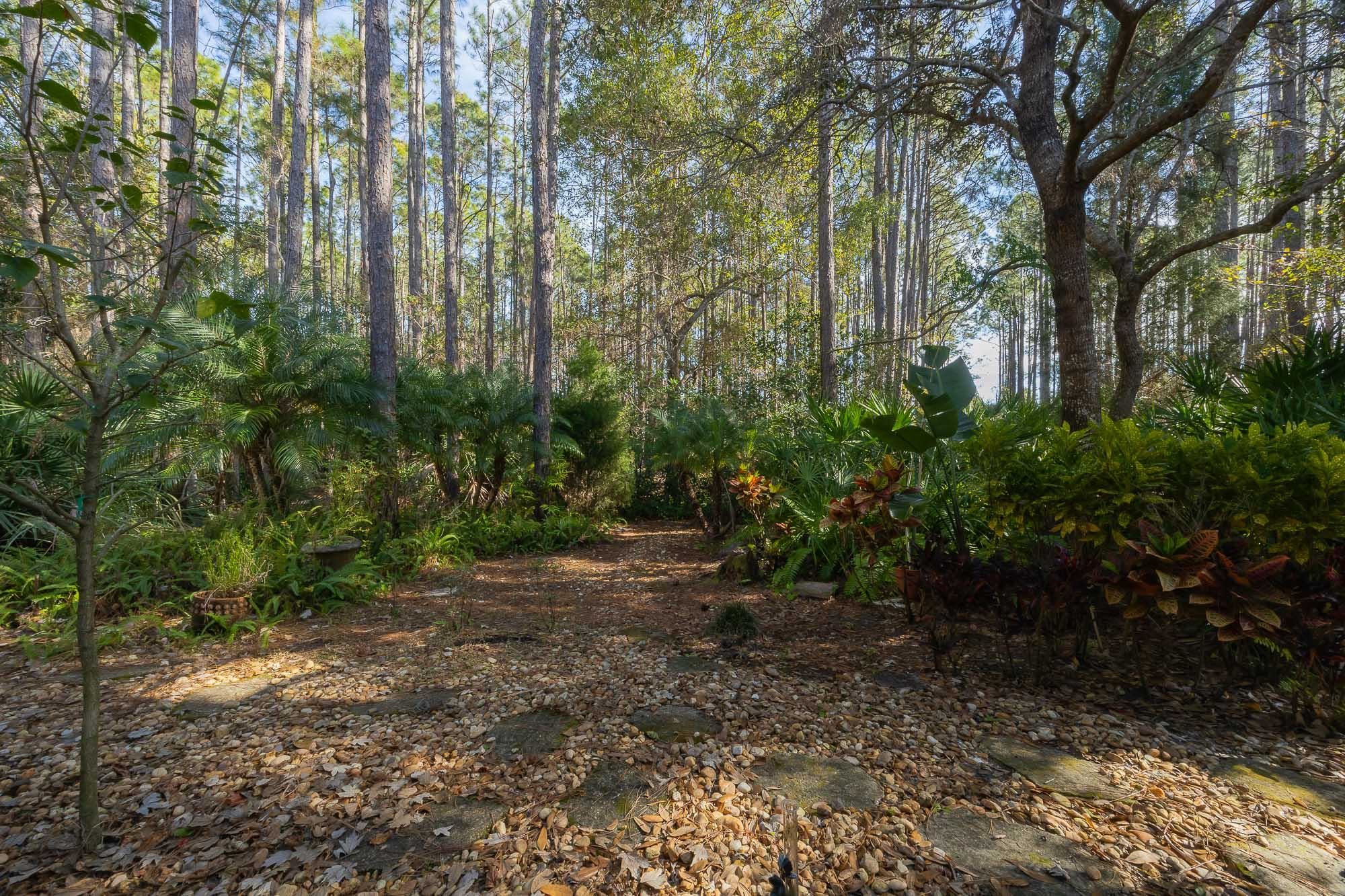 64 Grand Ravine Drive St. Augustine, FL 32086 - Photo 52 of 57