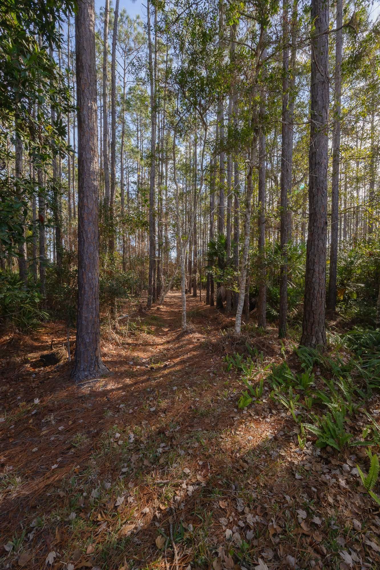 64 Grand Ravine Drive St. Augustine, FL 32086 - Photo 54 of 57