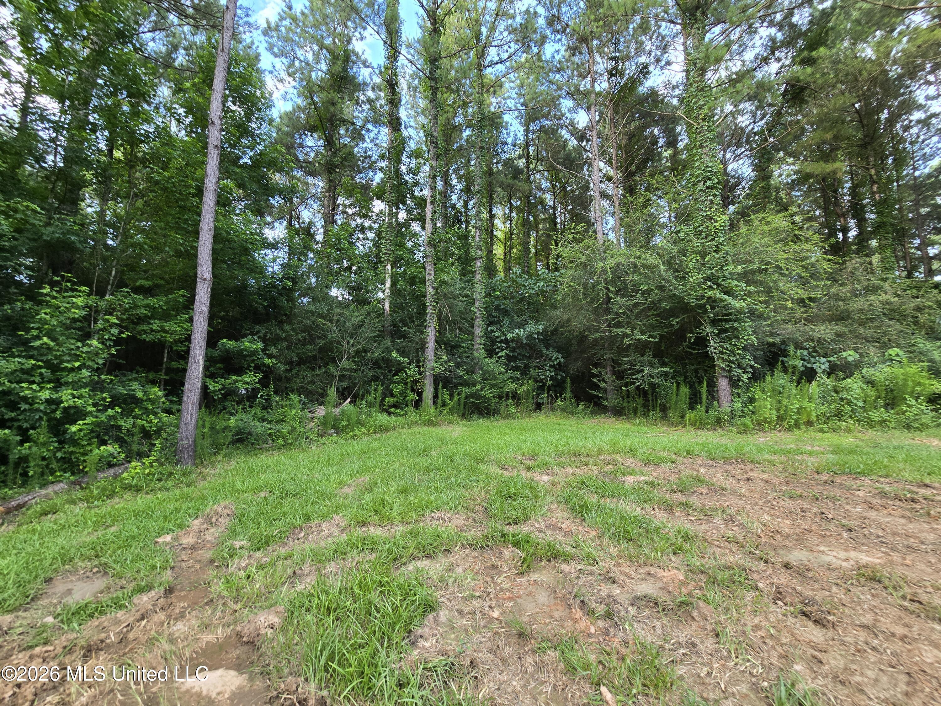 1189 Shady Grove Road Osyka, MS 39657 - Photo 17 of 27 20260622_183537