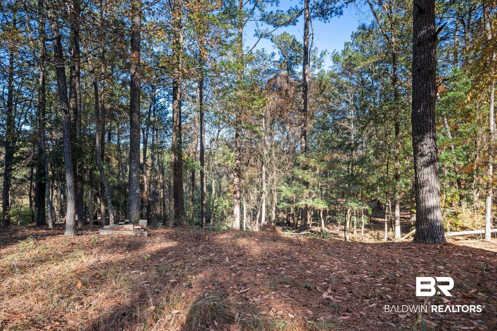 15801 Maytower Road Bay Minette, AL 36507 - Photo 43 of 43 View of landscape