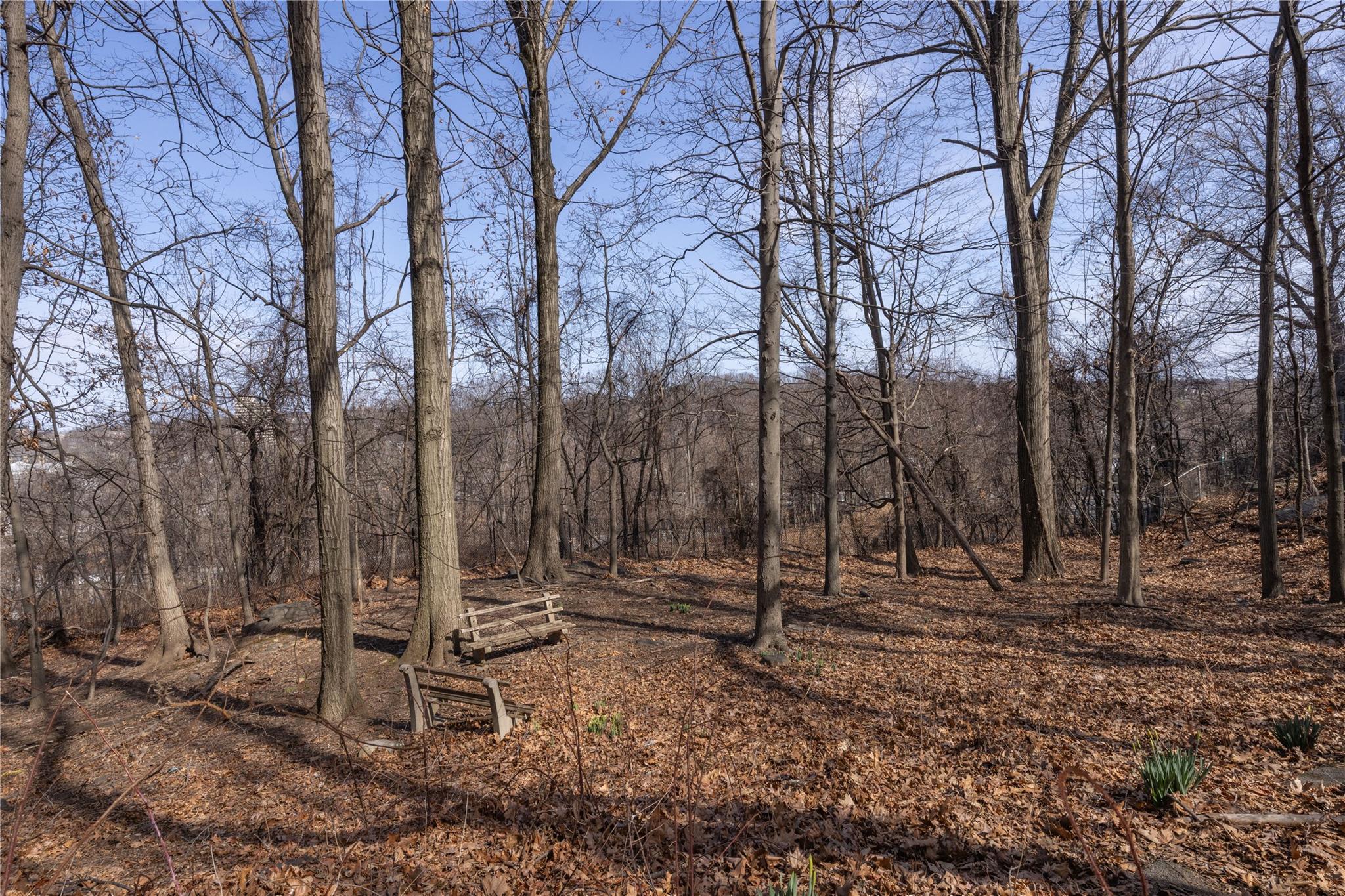 615 Palmer Road, Unit 602 Yonkers, NY 10701 - Photo 22 of 23 a view of outdoor space with trees