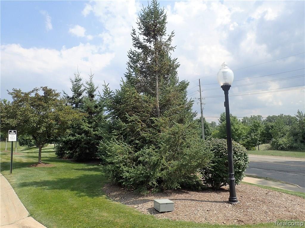 638 Telya Ridge, Unit 27 Milford, MI 48381 - Photo 54 of 54 P8040413.JPG