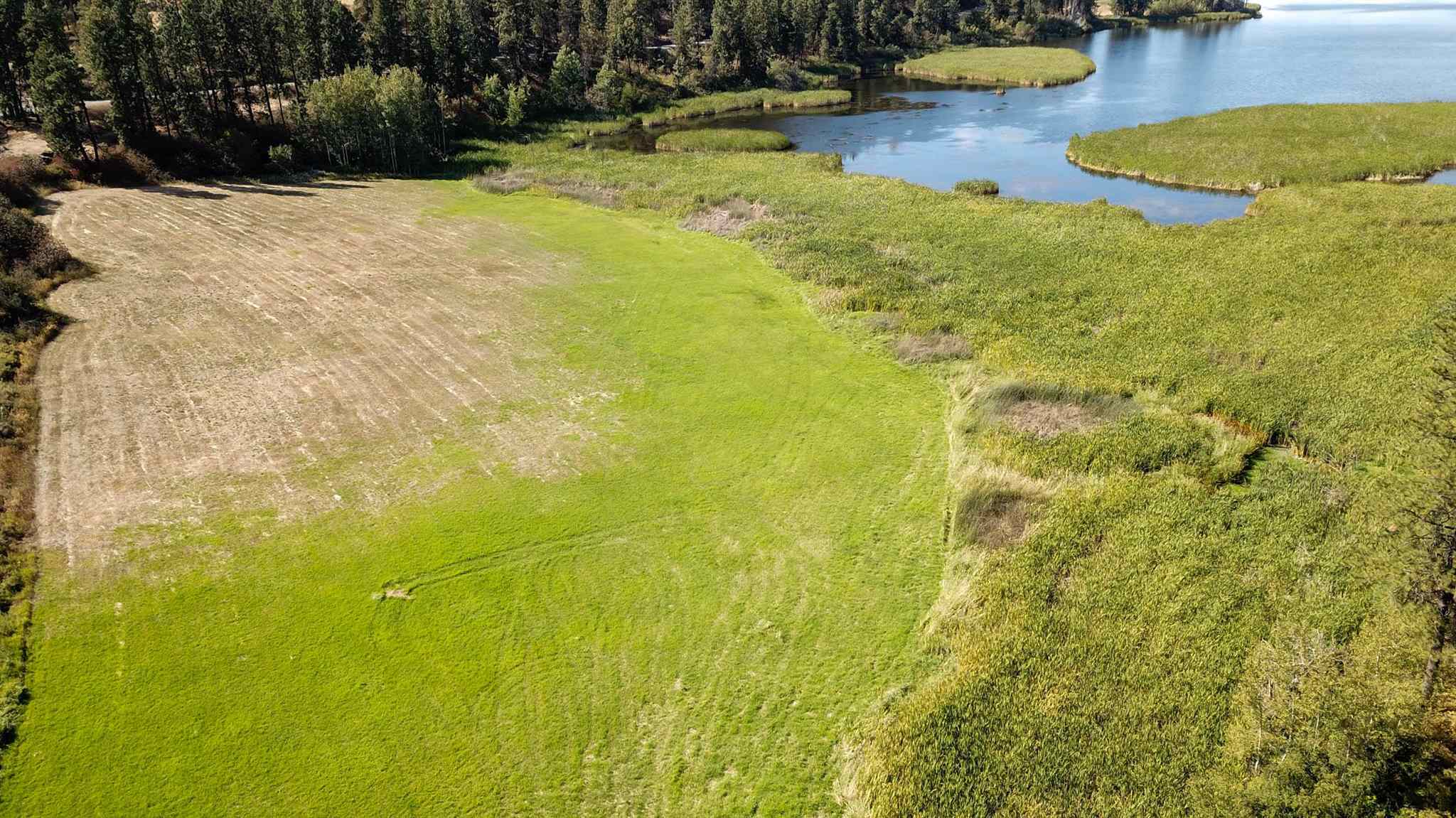 Xx West Meadow Lake Road Cheney, WA 99004 - Photo 19 of 45 Gallery Image 19