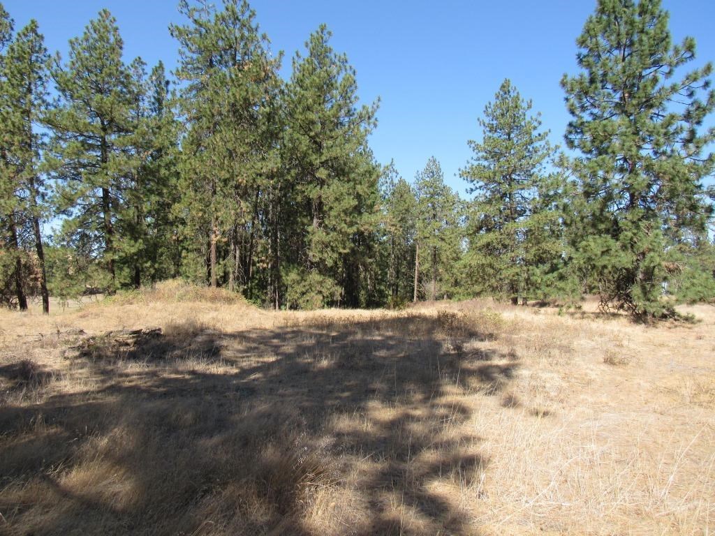 Xx West Meadow Lake Road Cheney, WA 99004 - Photo 21 of 45 Gallery Image 21