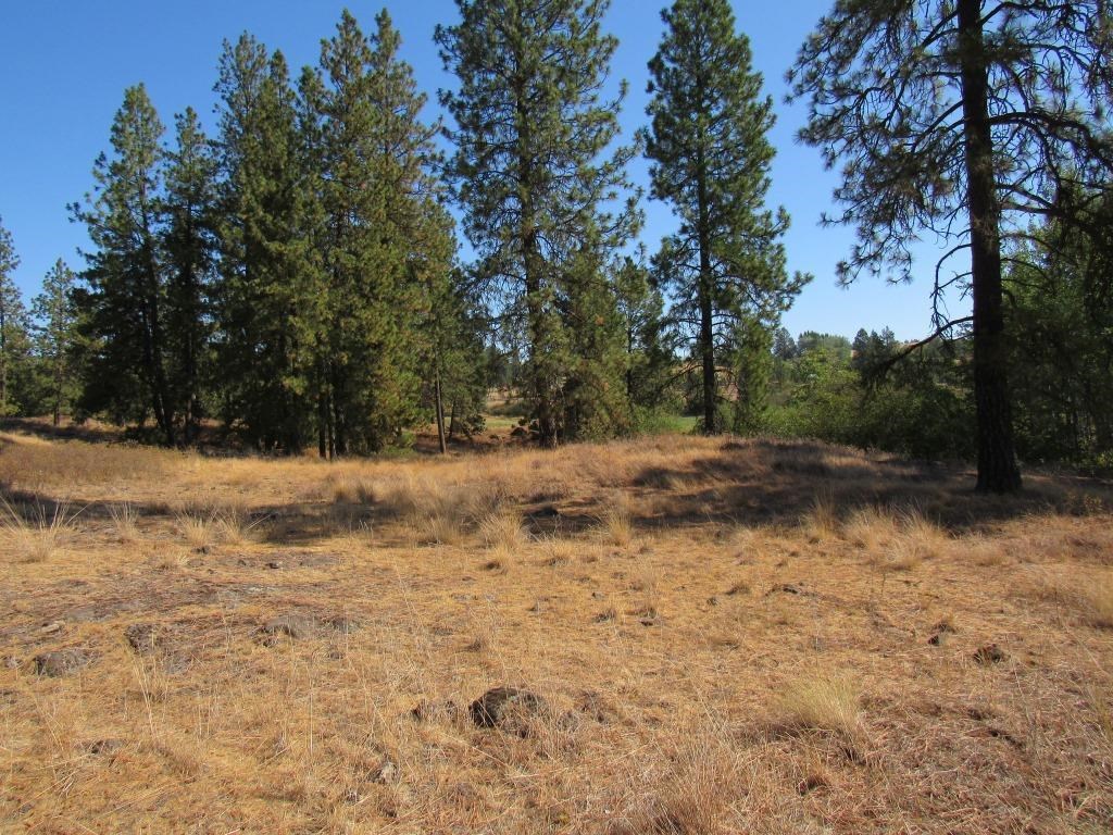 Xx West Meadow Lake Road Cheney, WA 99004 - Photo 23 of 45 Gallery Image 23