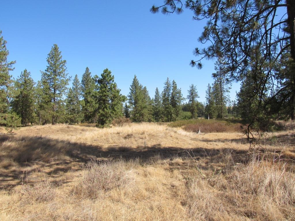 Xx West Meadow Lake Road Cheney, WA 99004 - Photo 25 of 45 Gallery Image 25