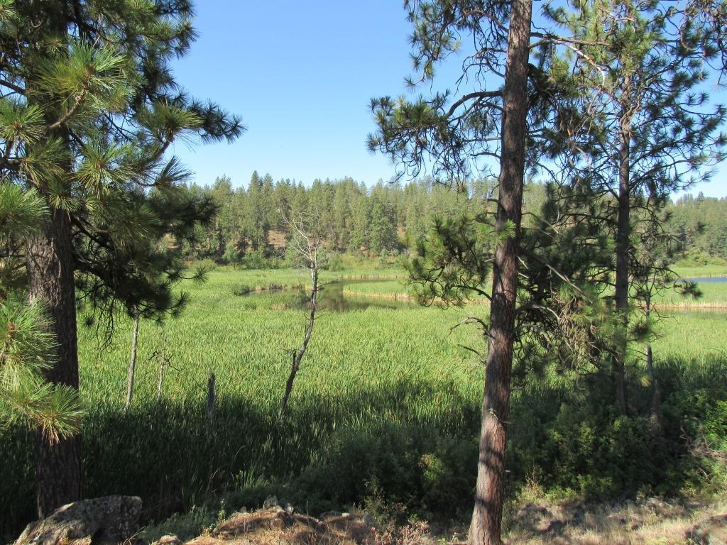 Xx West Meadow Lake Road Cheney, WA 99004 - Photo 29 of 45 Gallery Image 29
